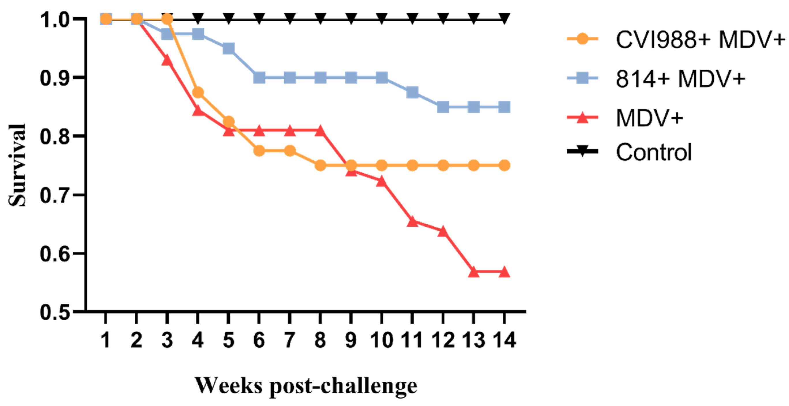 Viruses 12 01048 g005