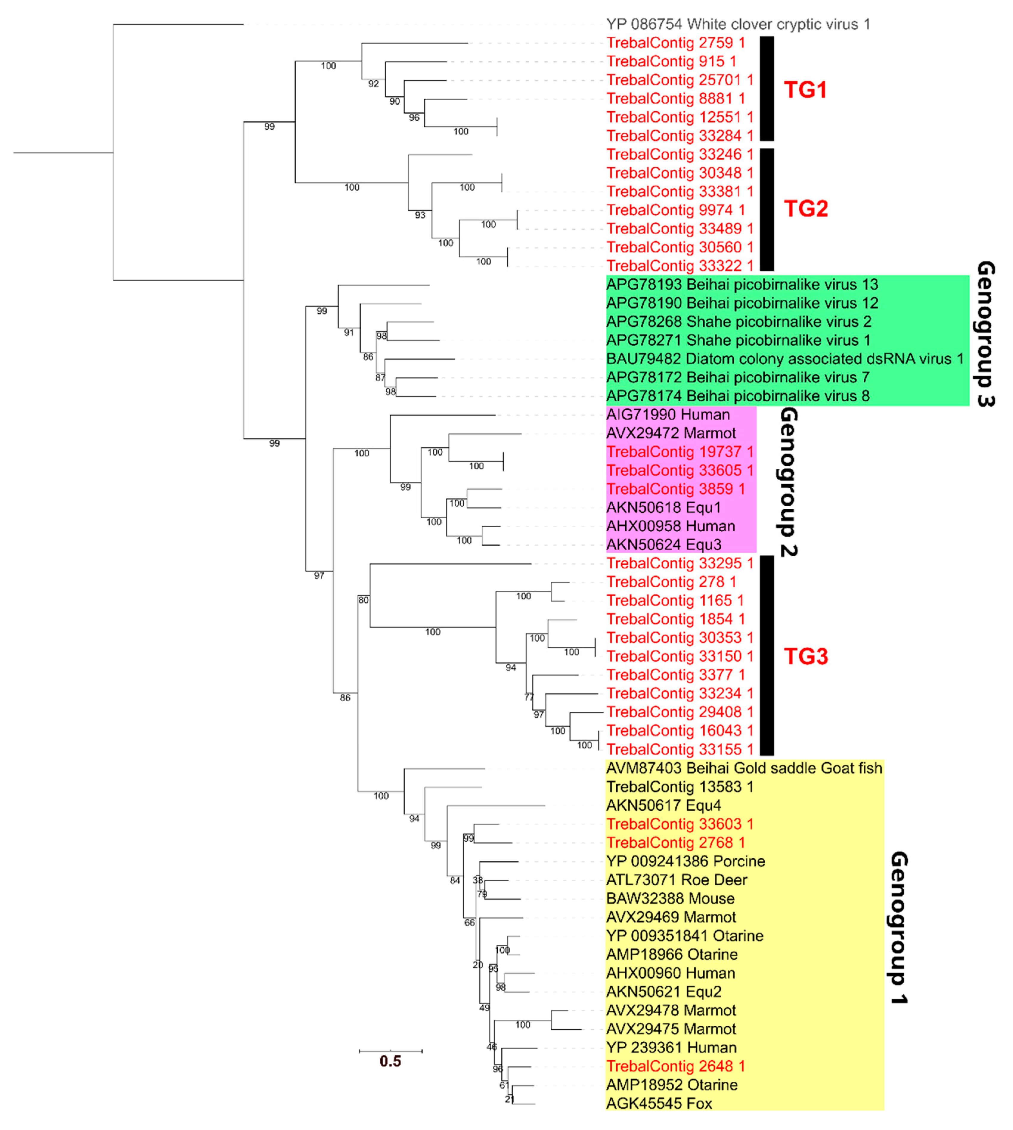 Viruses 12 01050 g004 Viruses 12 01050 g004