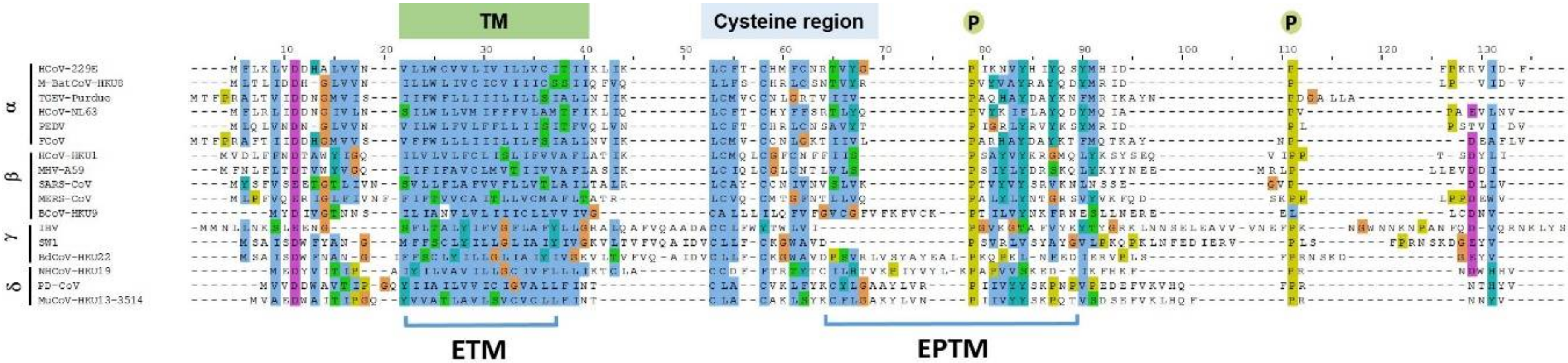 Viruses 12 01054 g001 Viruses 12 01054 g001