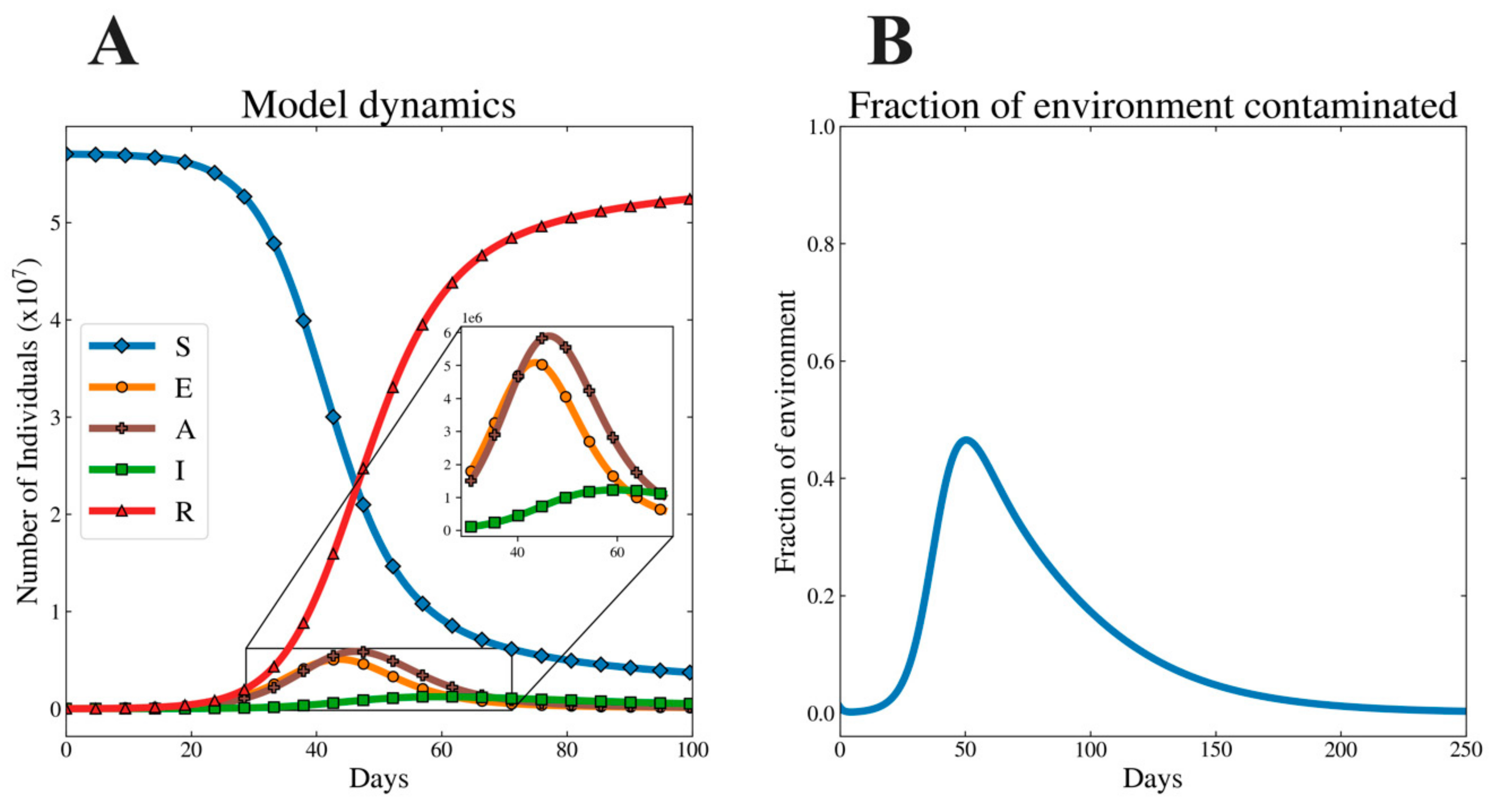 Viruses 12 01055 g003