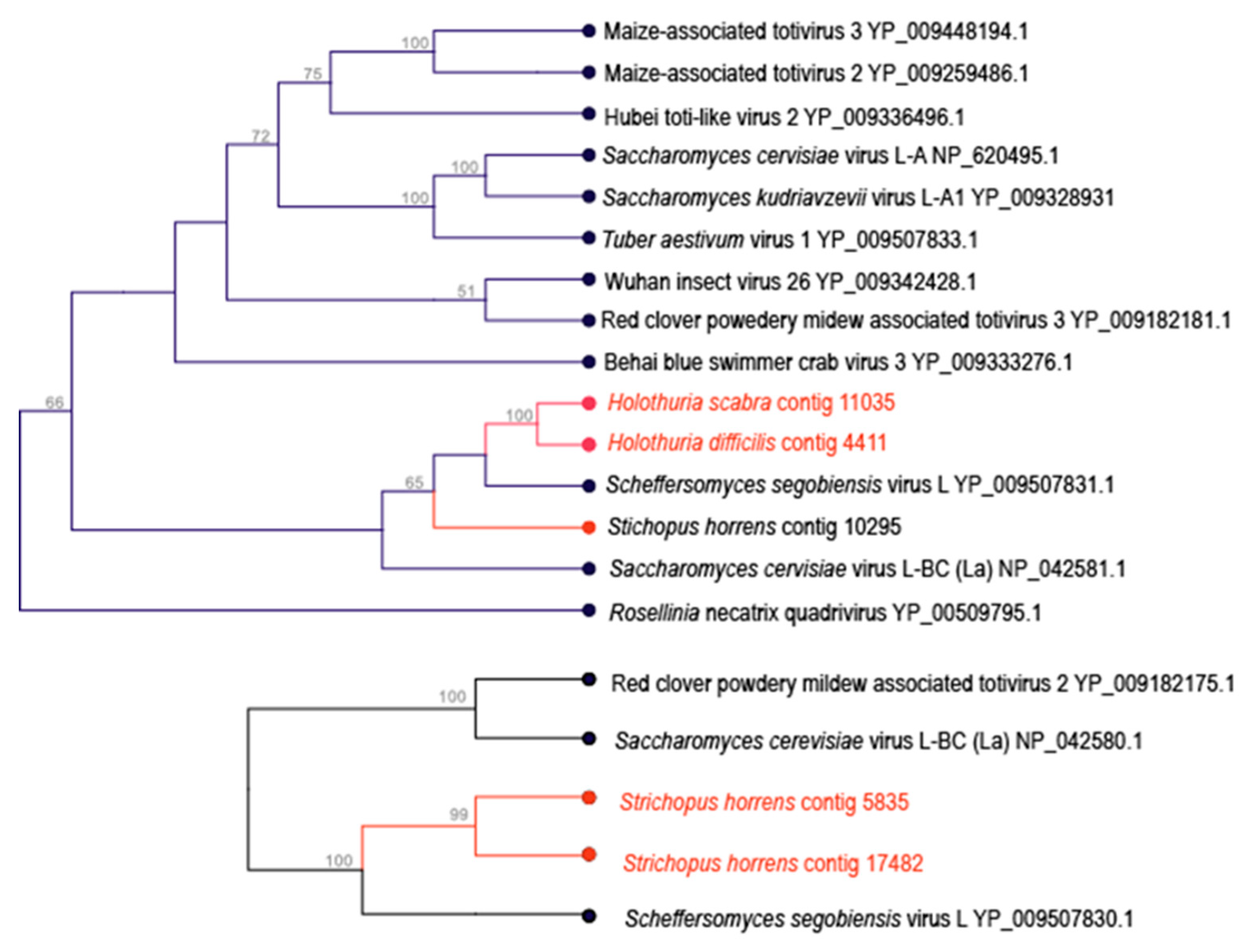 Viruses 12 01057 g006 Viruses 12 01057 g006