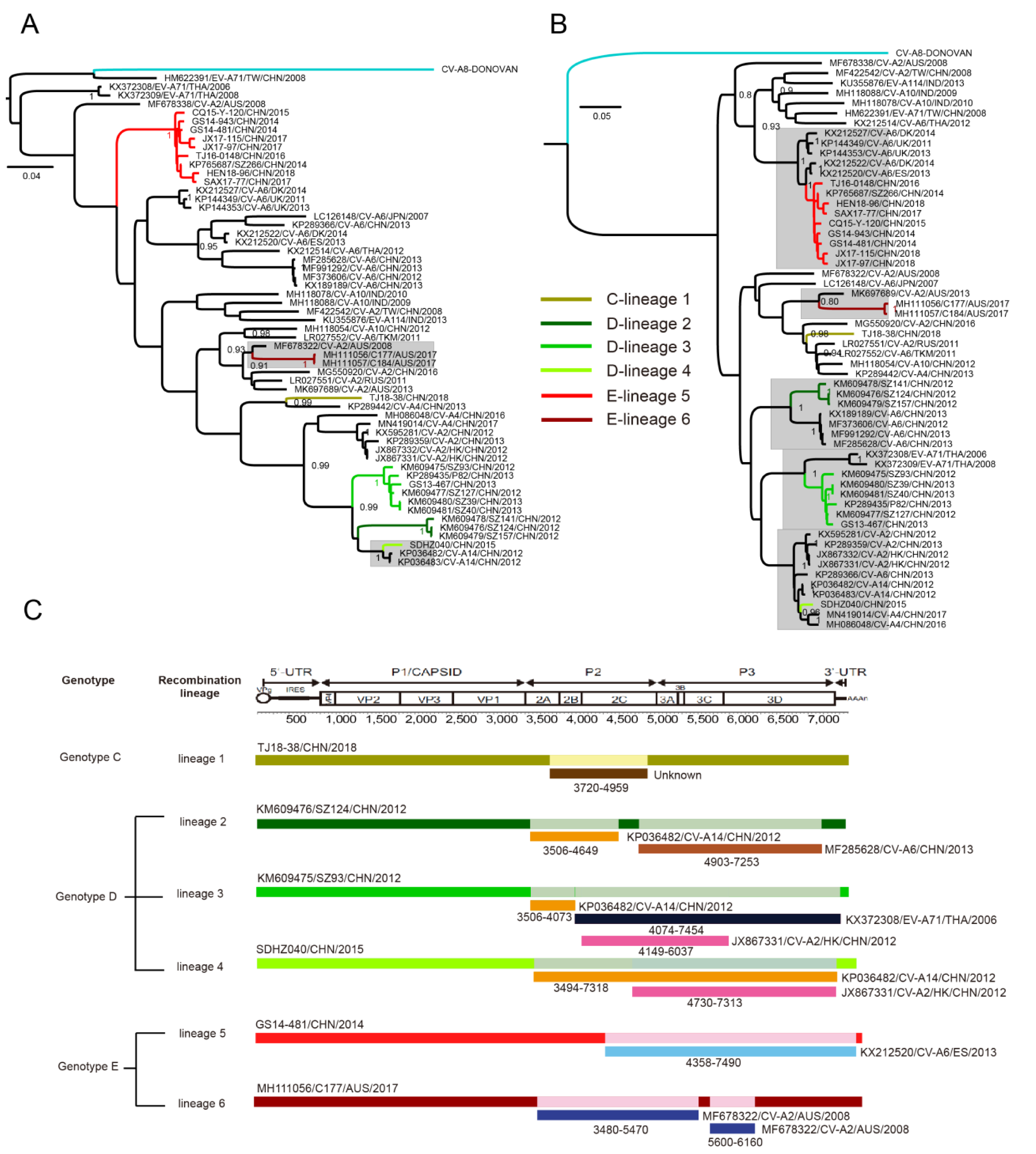 Viruses 12 01061 g004 Viruses 12 01061 g004