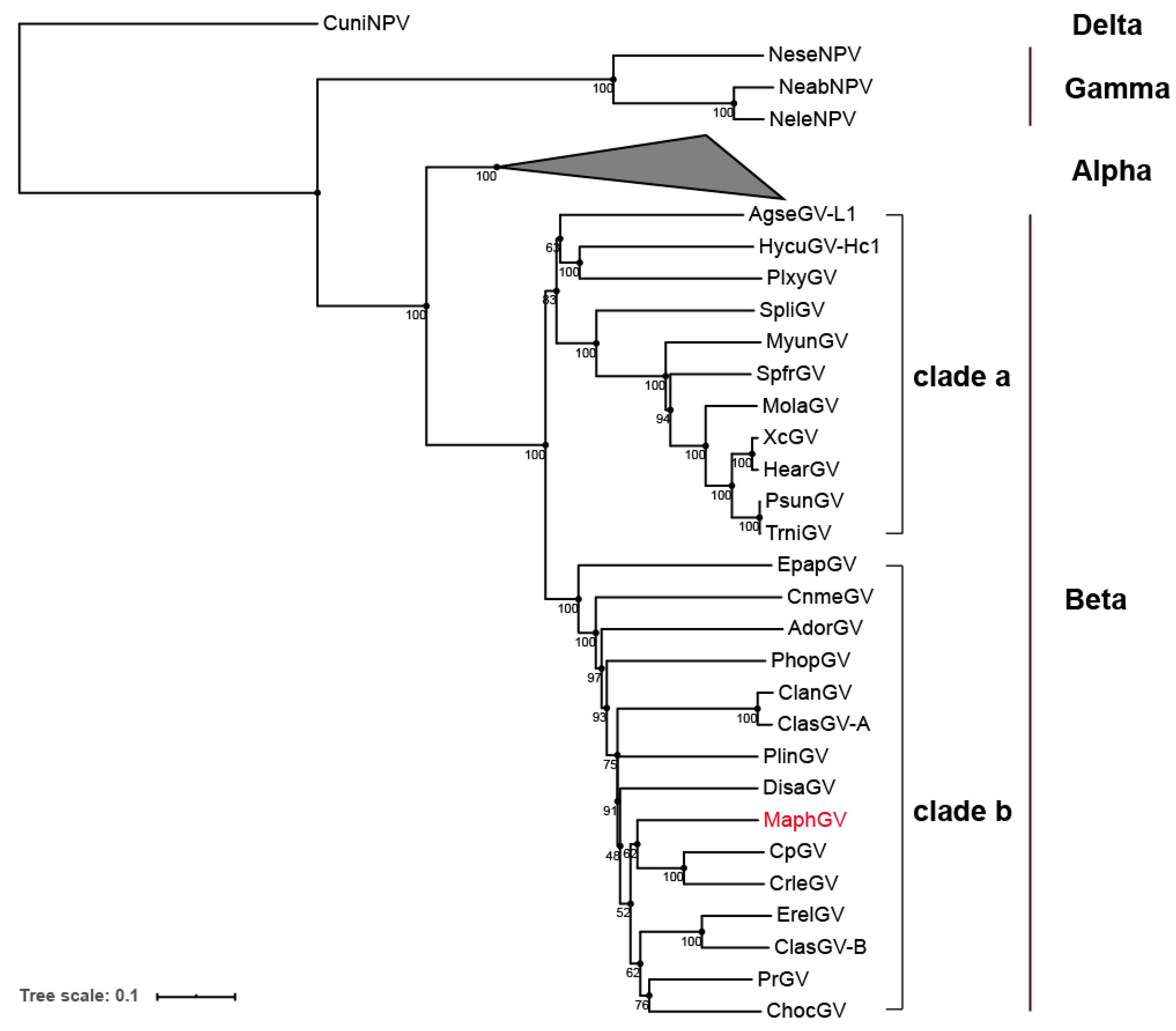 Viruses 12 01068 g003 Viruses 12 01068 g003