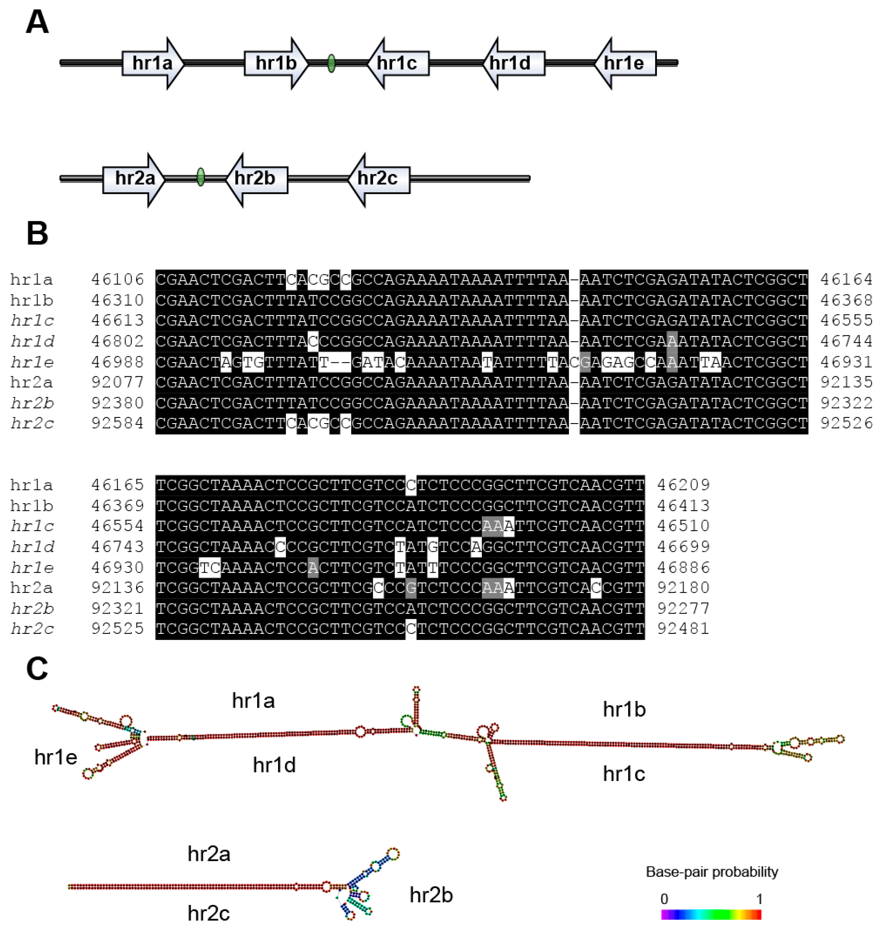 Viruses 12 01068 g005 Viruses 12 01068 g005