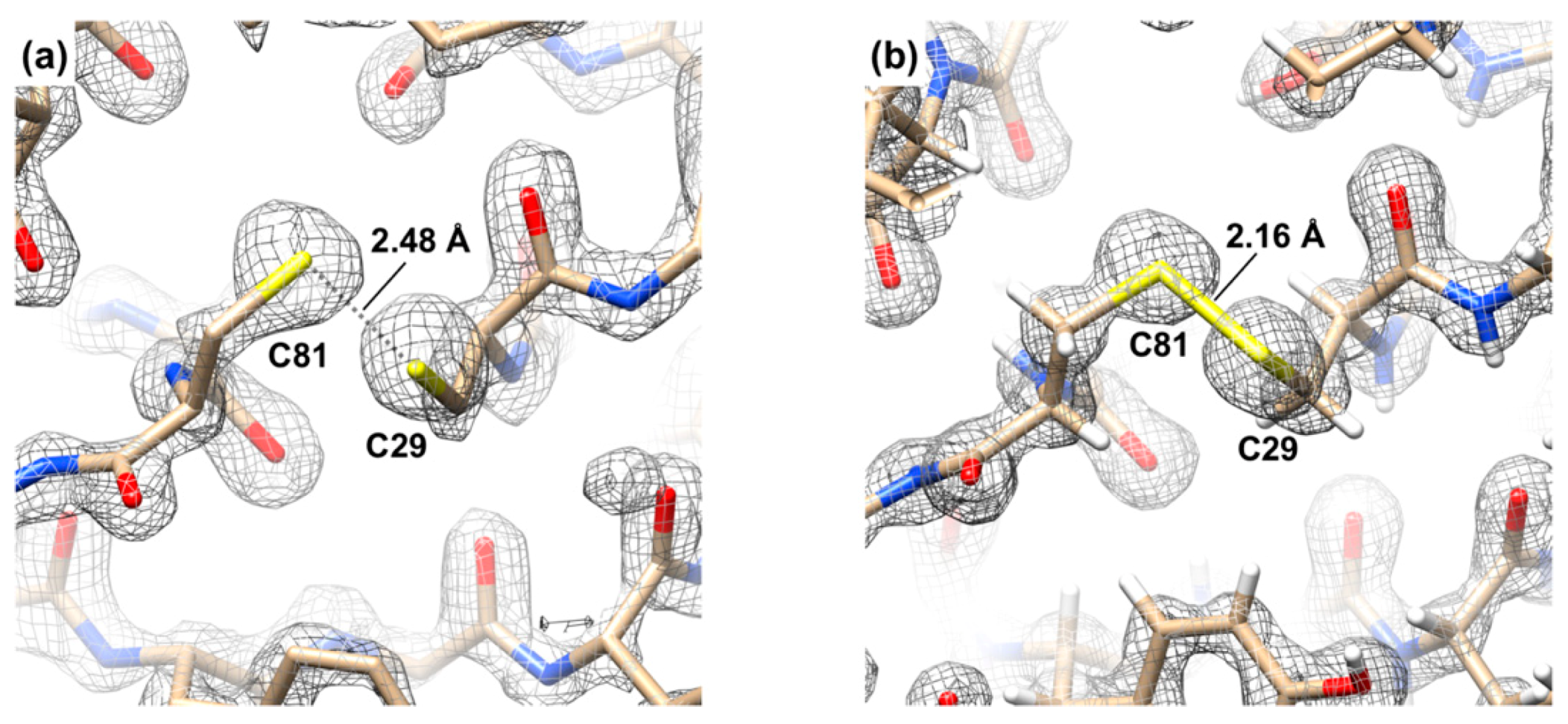 Viruses 12 01070 g006