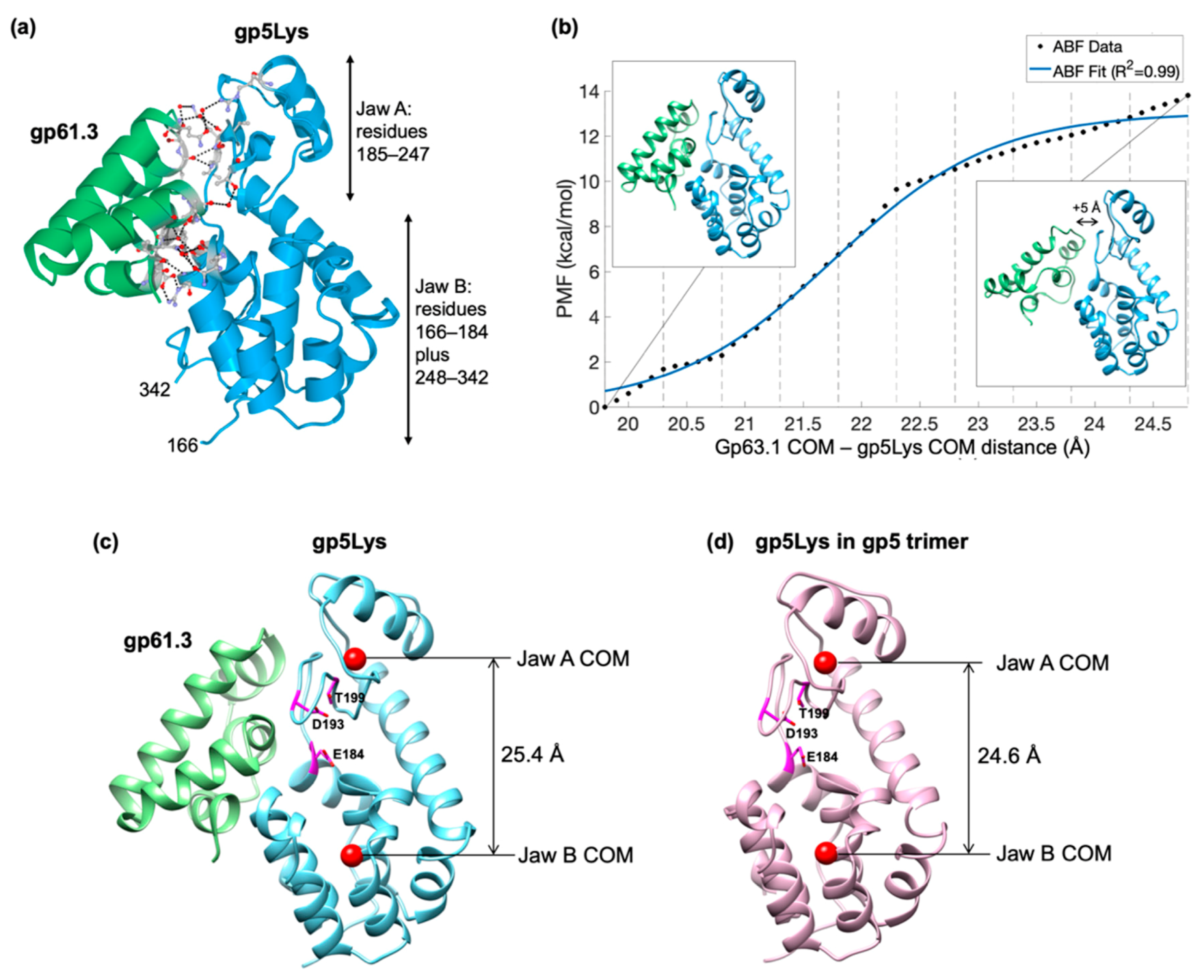 Viruses 12 01070 g007