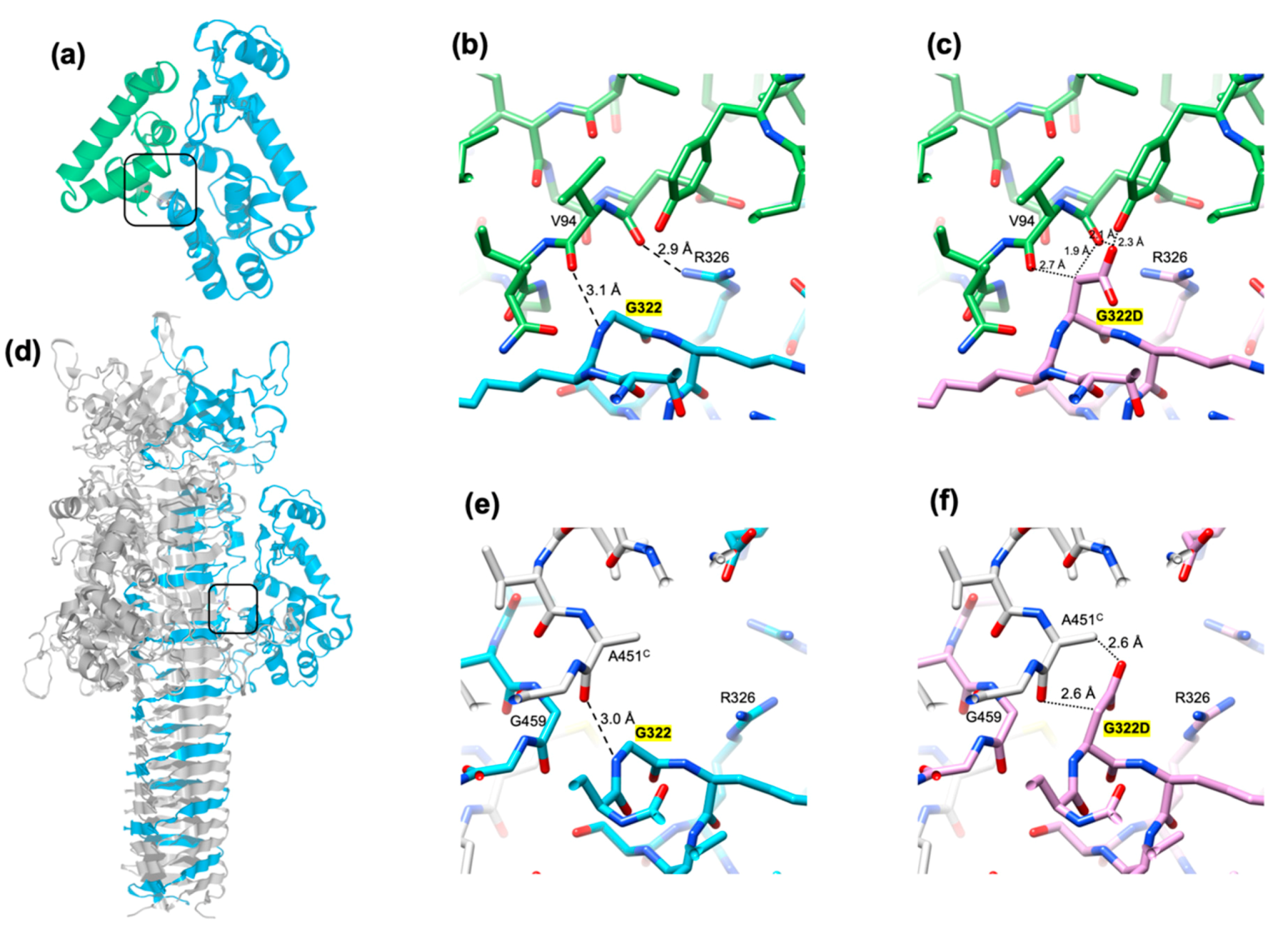 Viruses 12 01070 g008