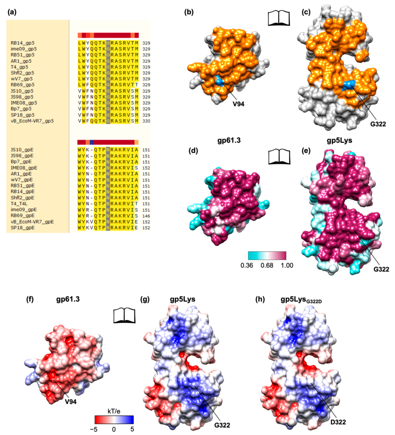 Viruses 12 01070 g009