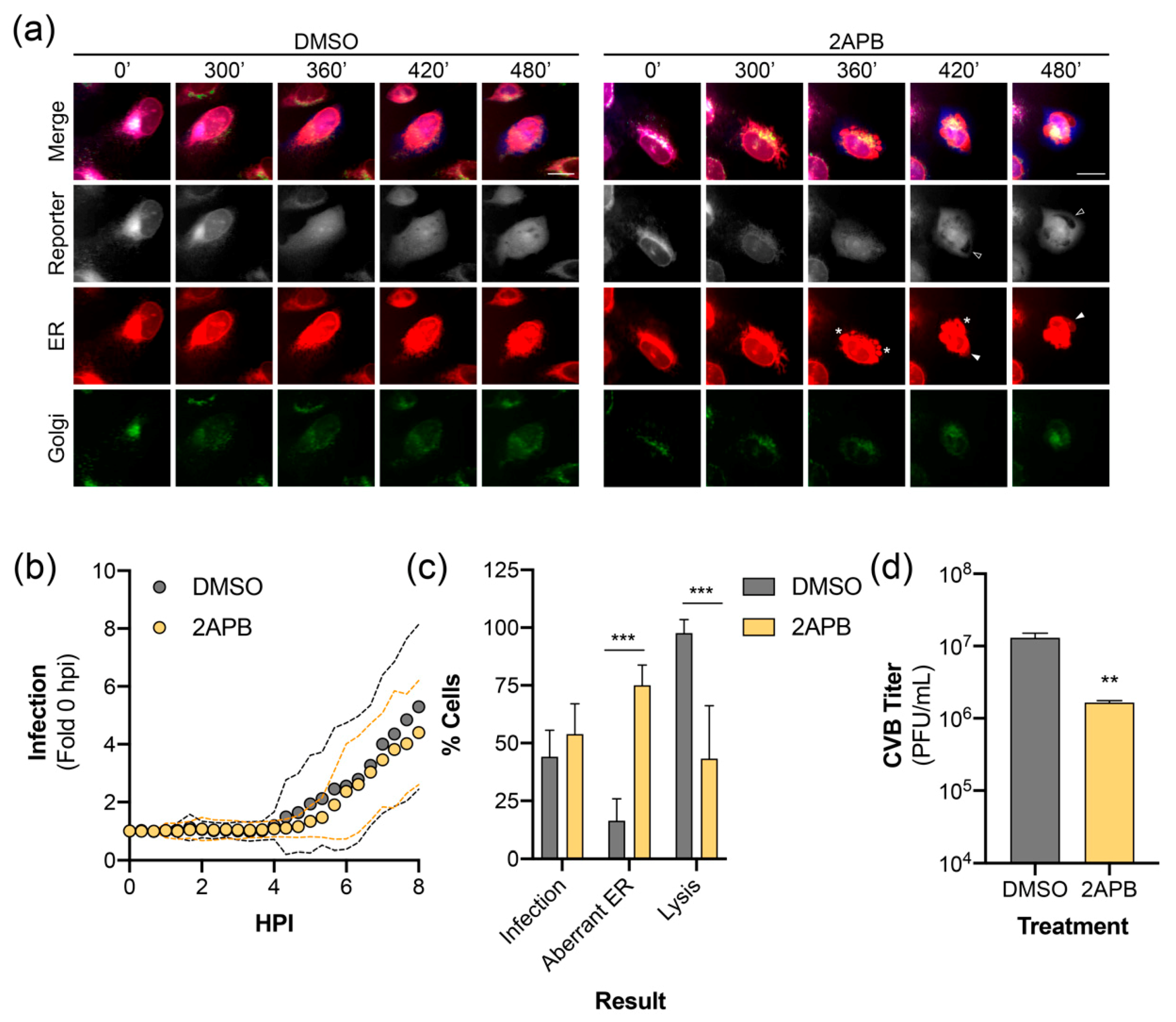 Viruses 12 01074 g005 Viruses 12 01074 g005