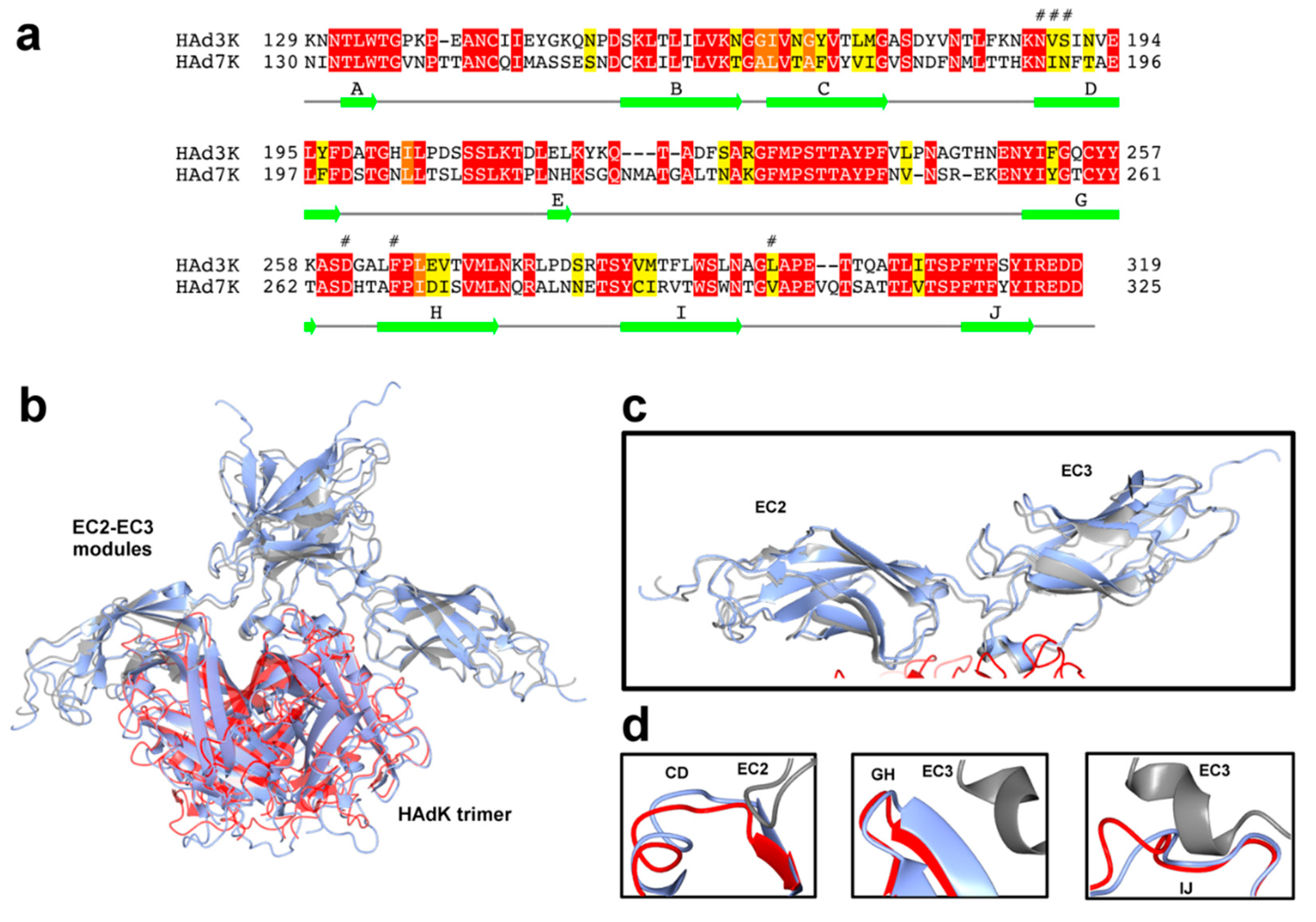 Viruses 12 01075 g005