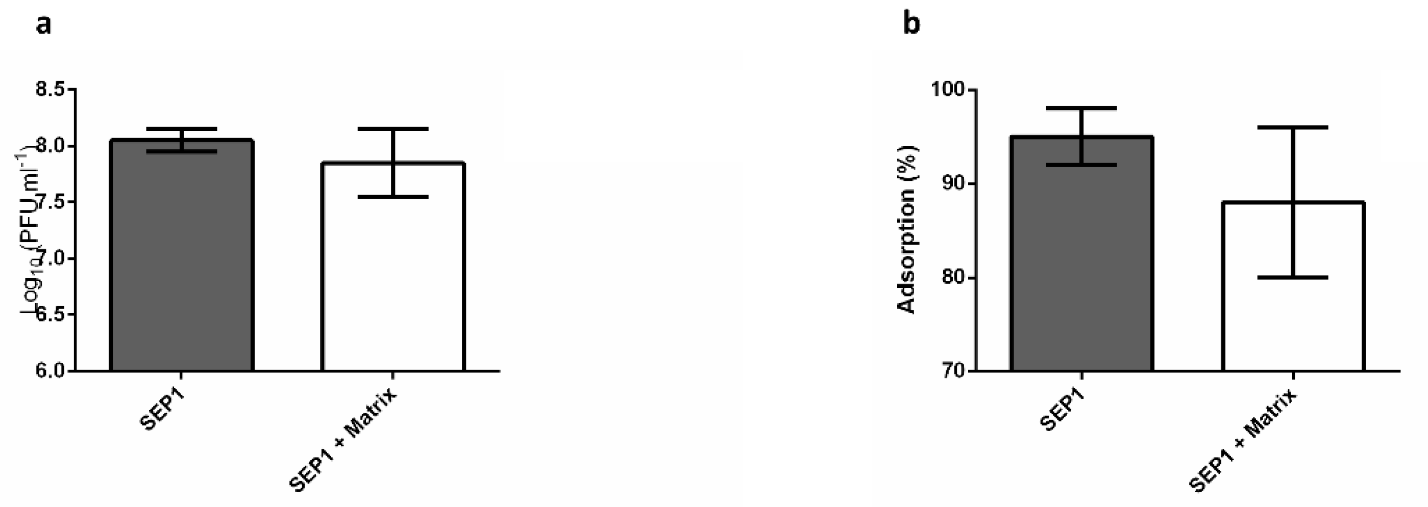 Viruses 12 01076 g004