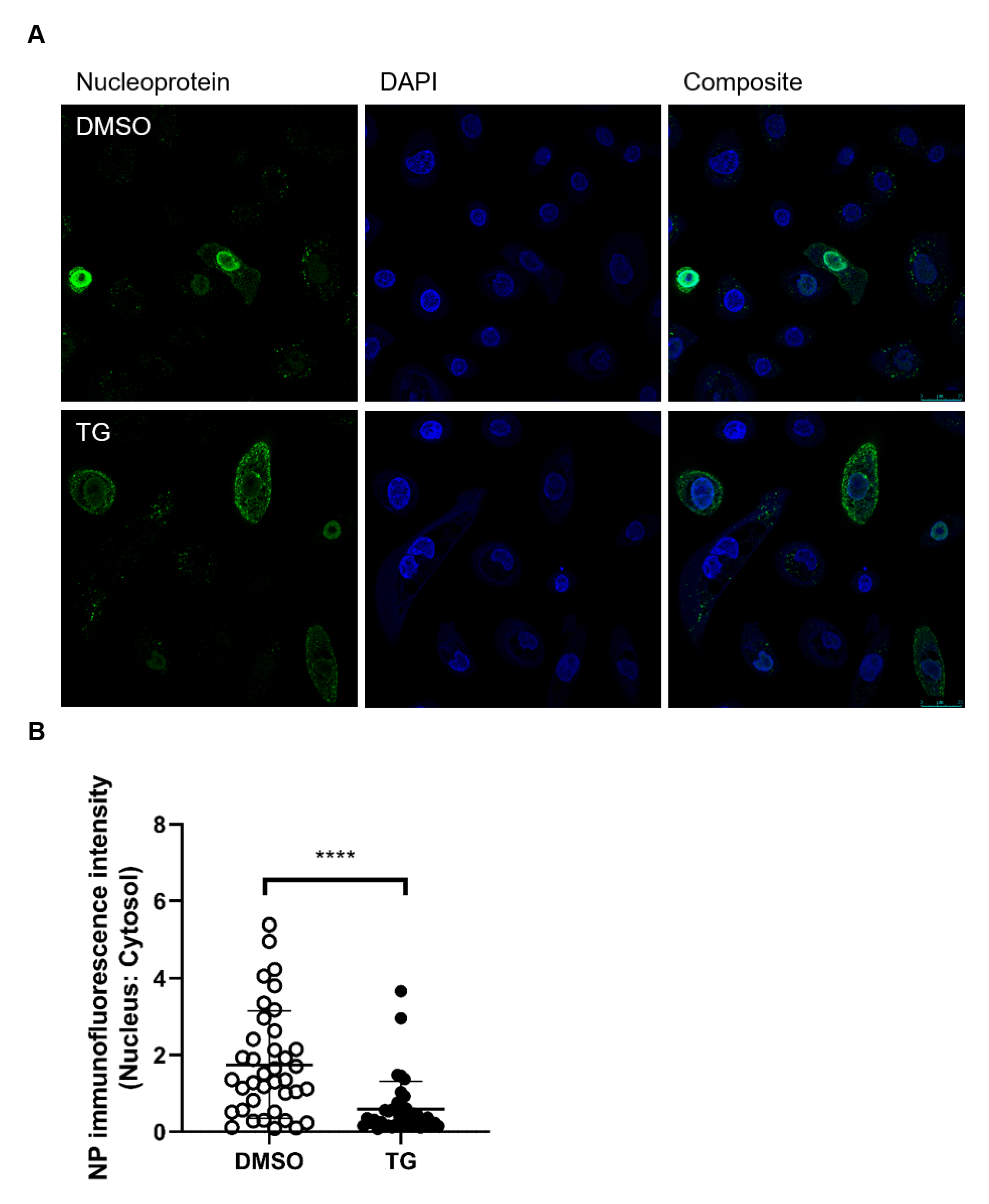 Viruses 12 01093 g005