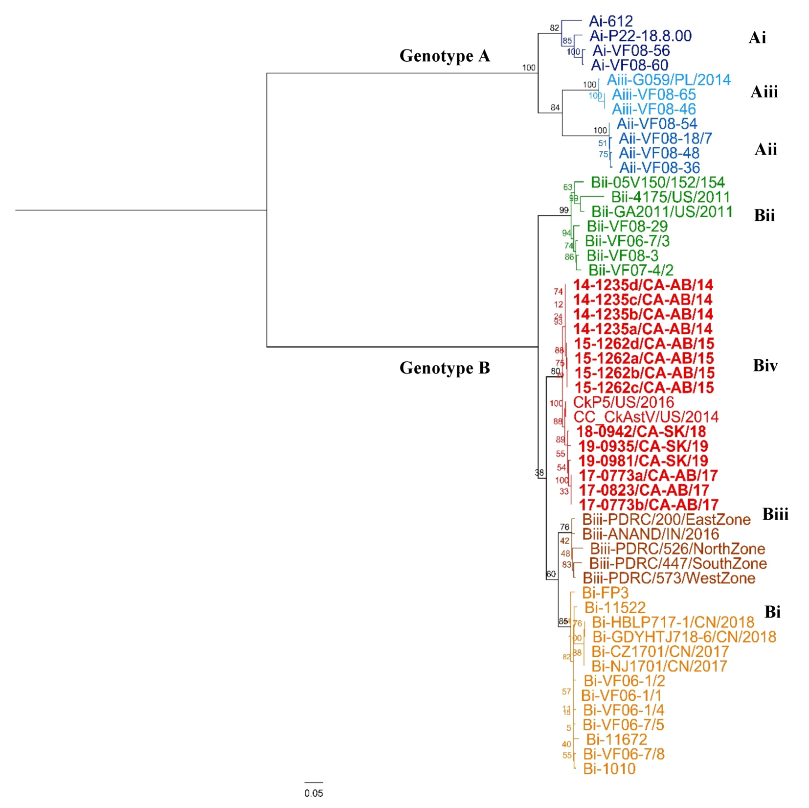 Viruses 12 01096 g004 Viruses 12 01096 g004