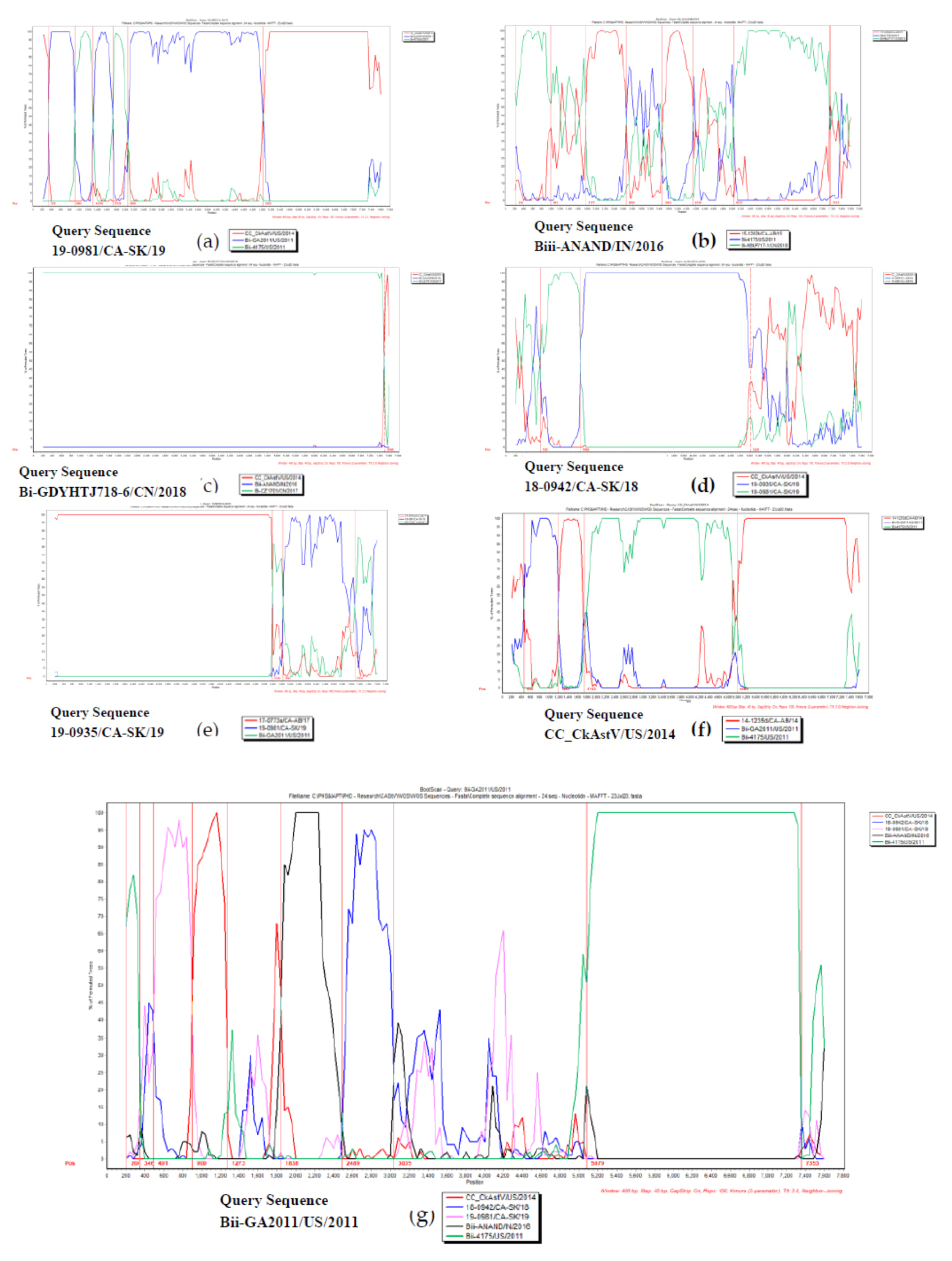 Viruses 12 01096 g005 Viruses 12 01096 g005