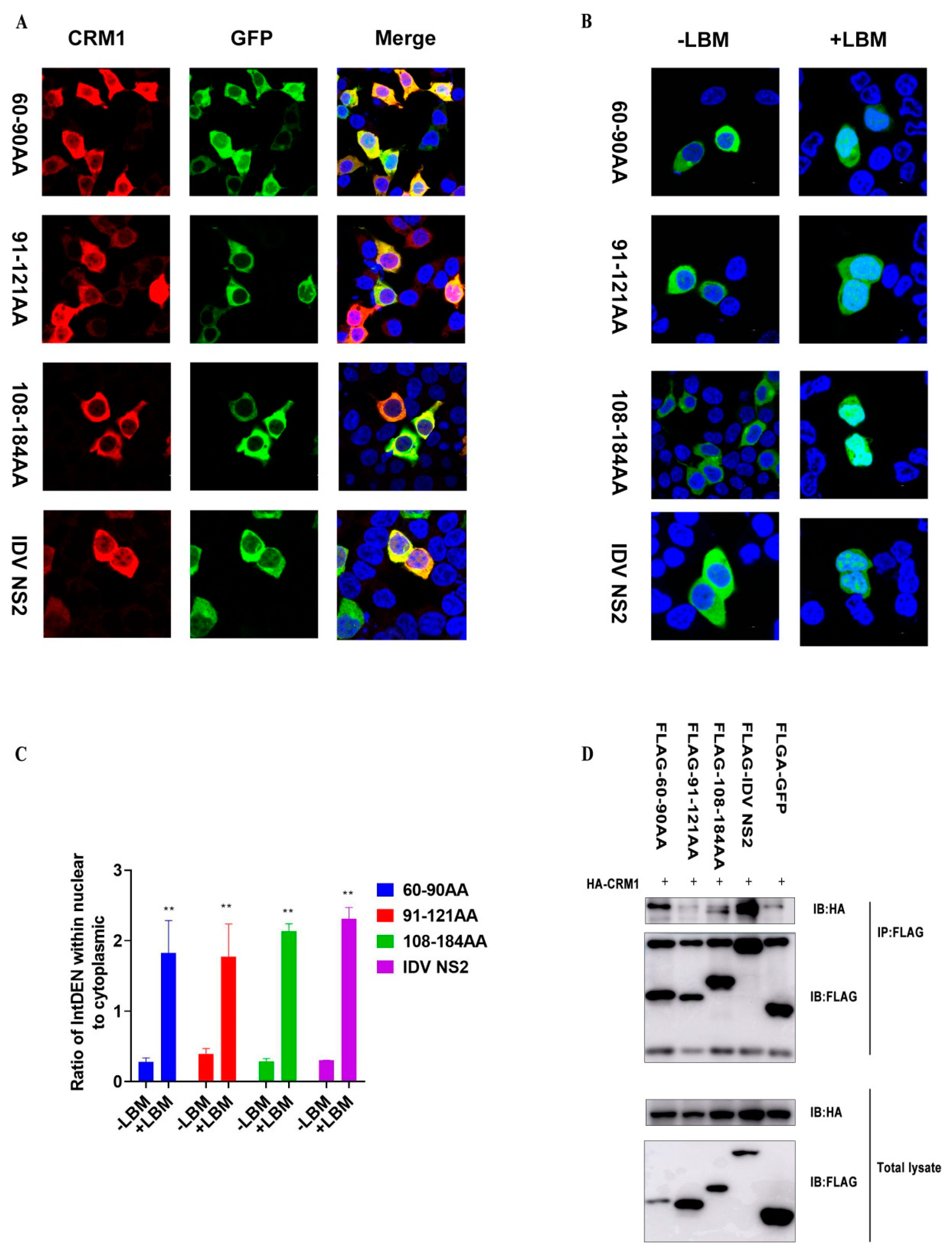 Viruses 12 01100 g005 Viruses 12 01100 g005