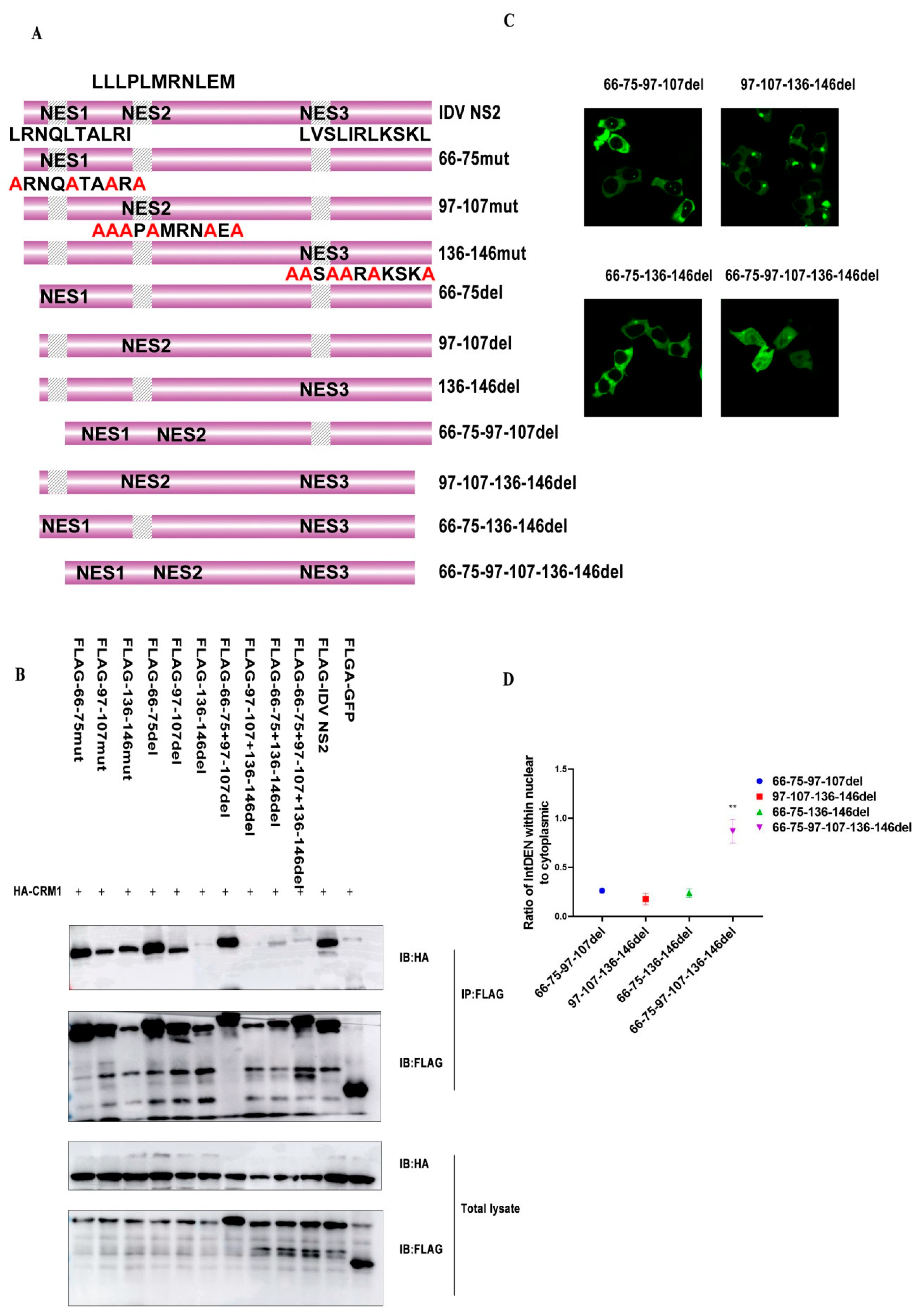 Viruses 12 01100 g006 Viruses 12 01100 g006
