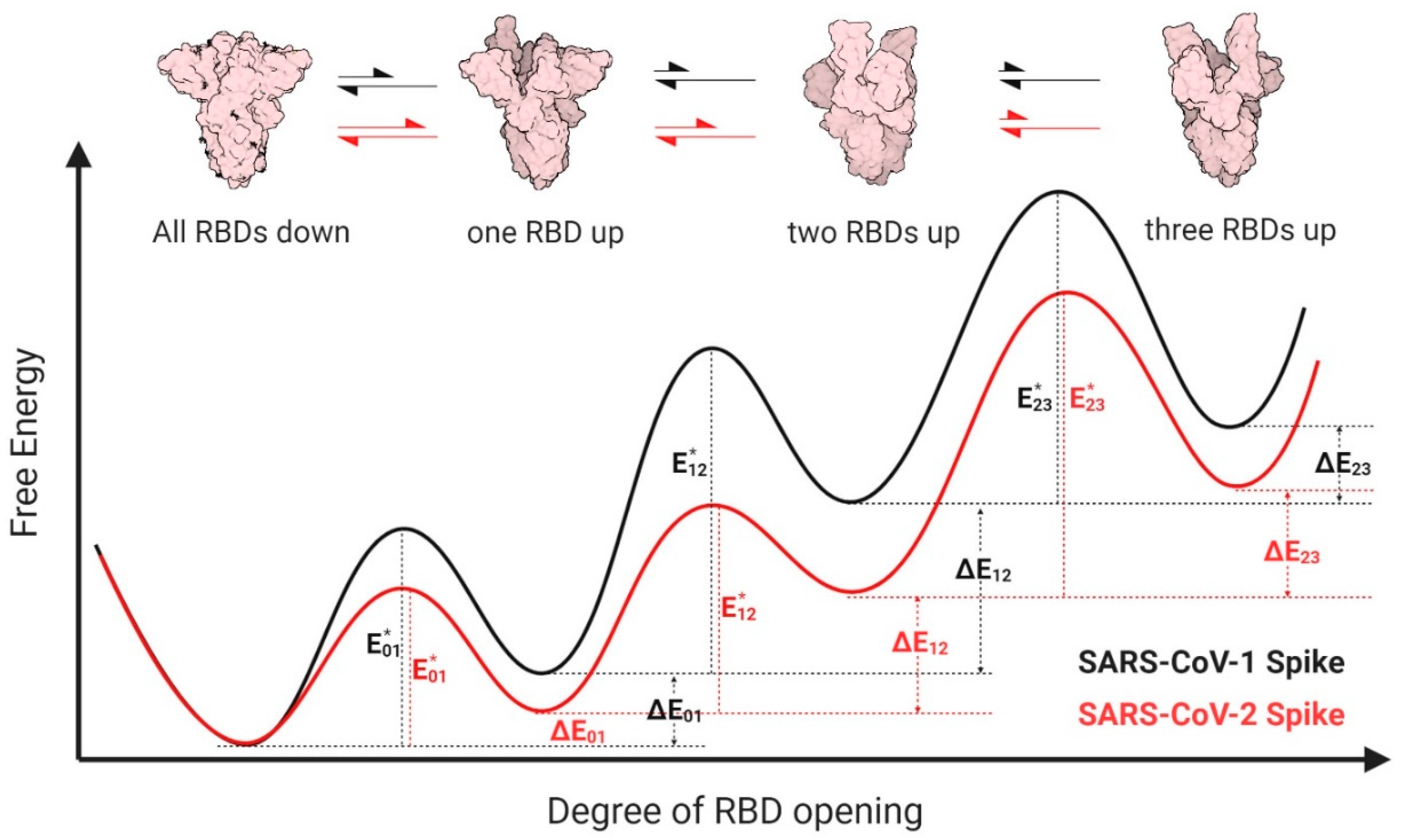 Viruses 12 01104 g003
