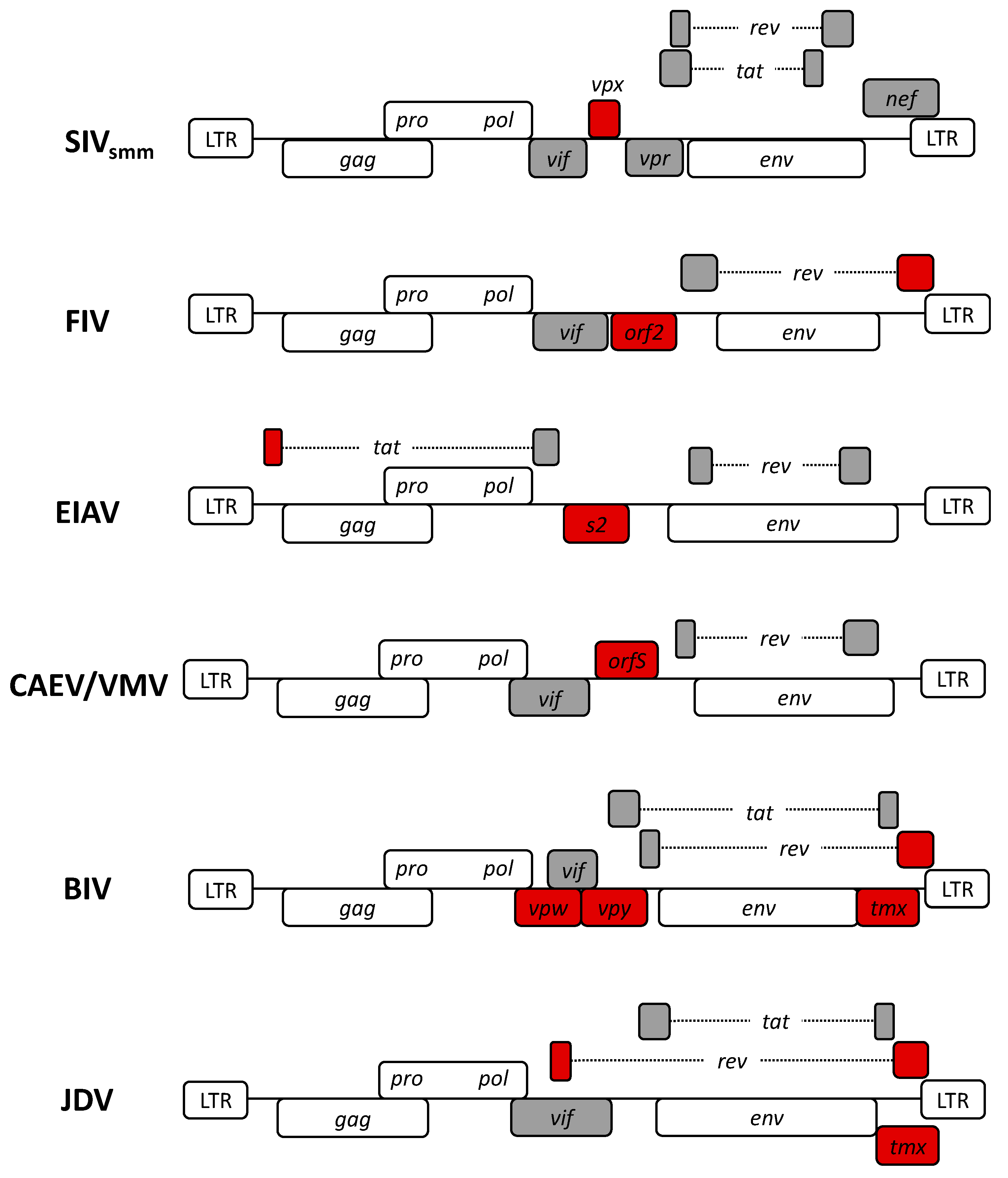 Viruses 12 01106 g002