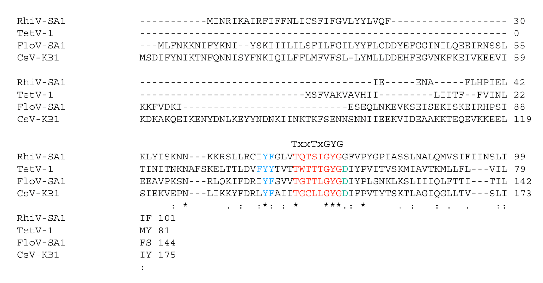 Viruses 12 01107 g001