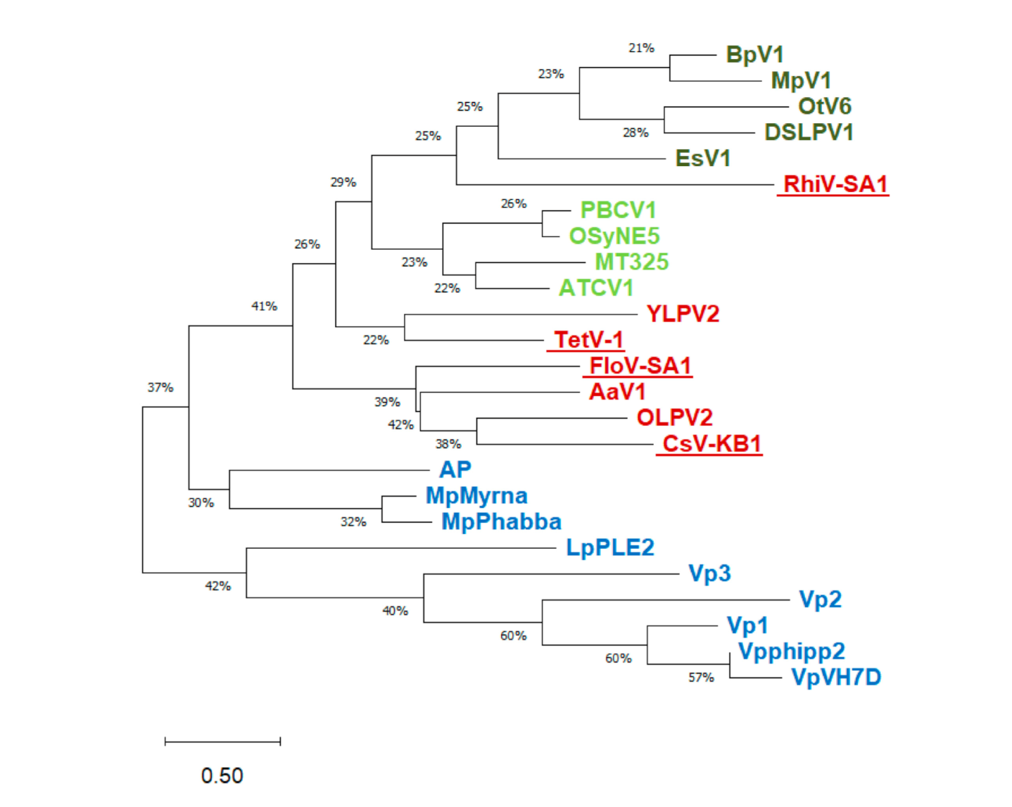 Viruses 12 01107 g002