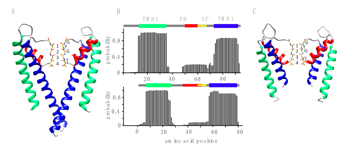 Viruses 12 01107 g003