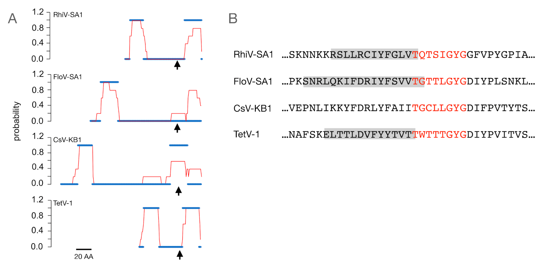 Viruses 12 01107 g004