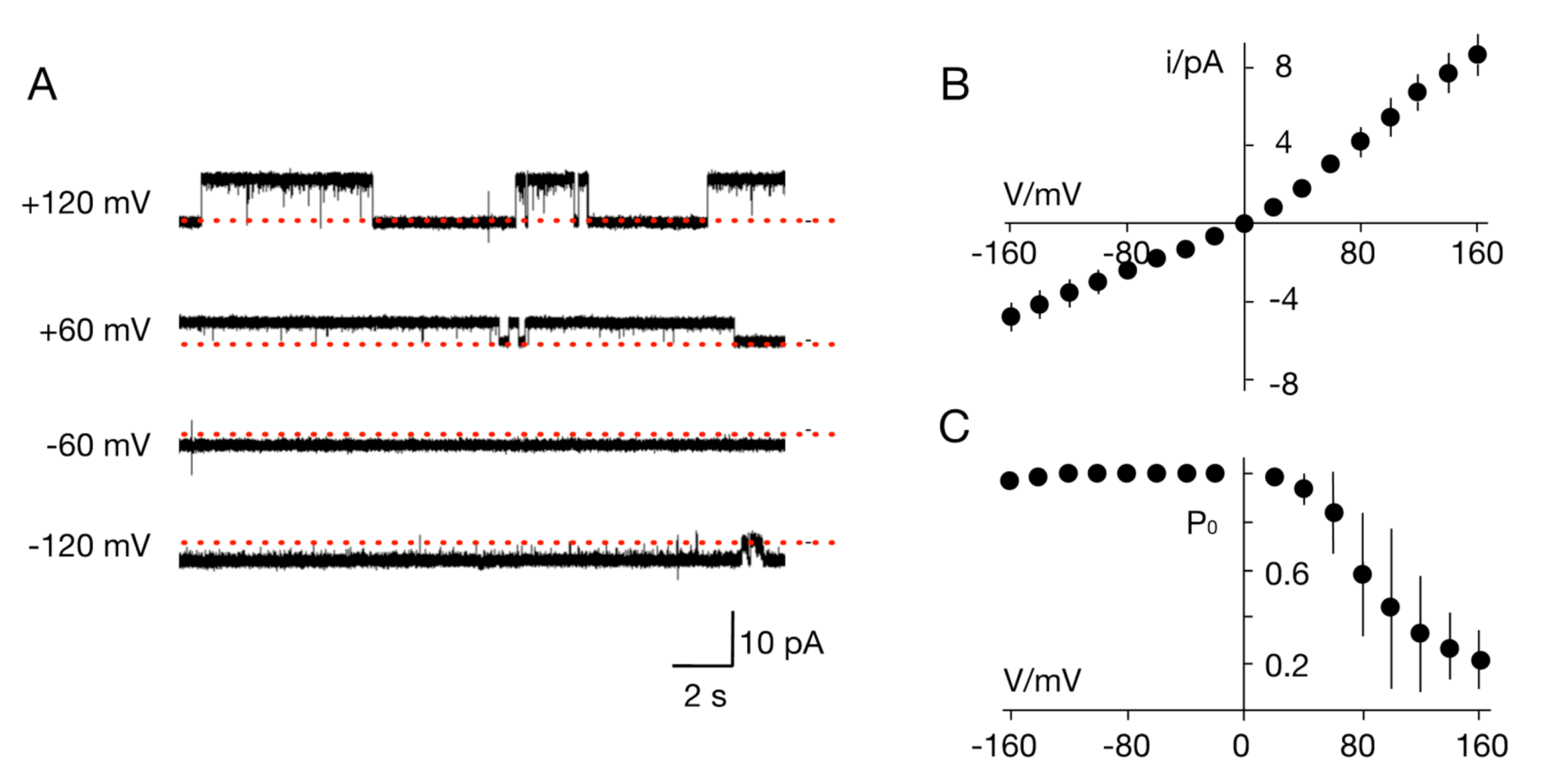 Viruses 12 01107 g005