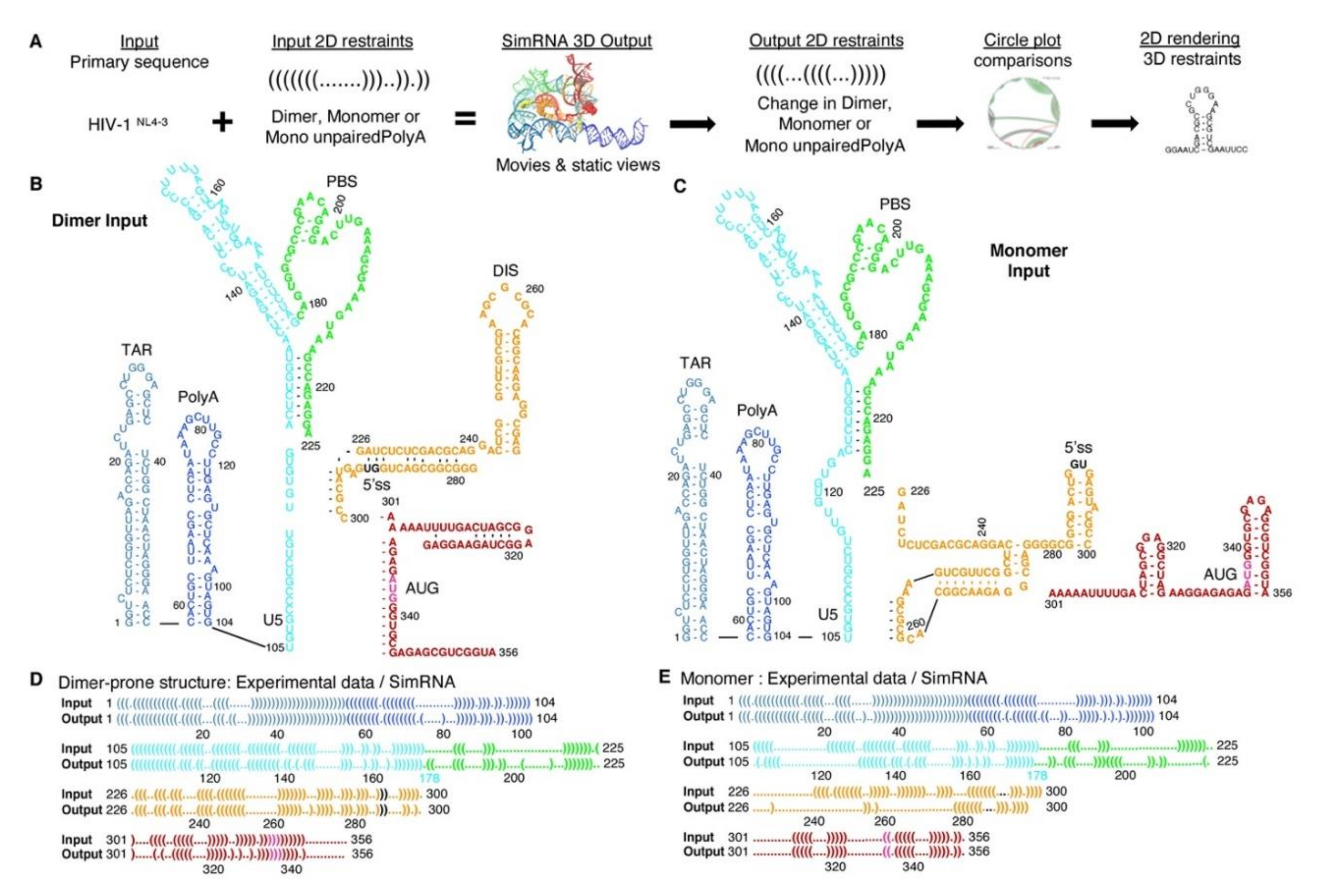 Viruses 12 01108 g001 Viruses 12 01108 g001