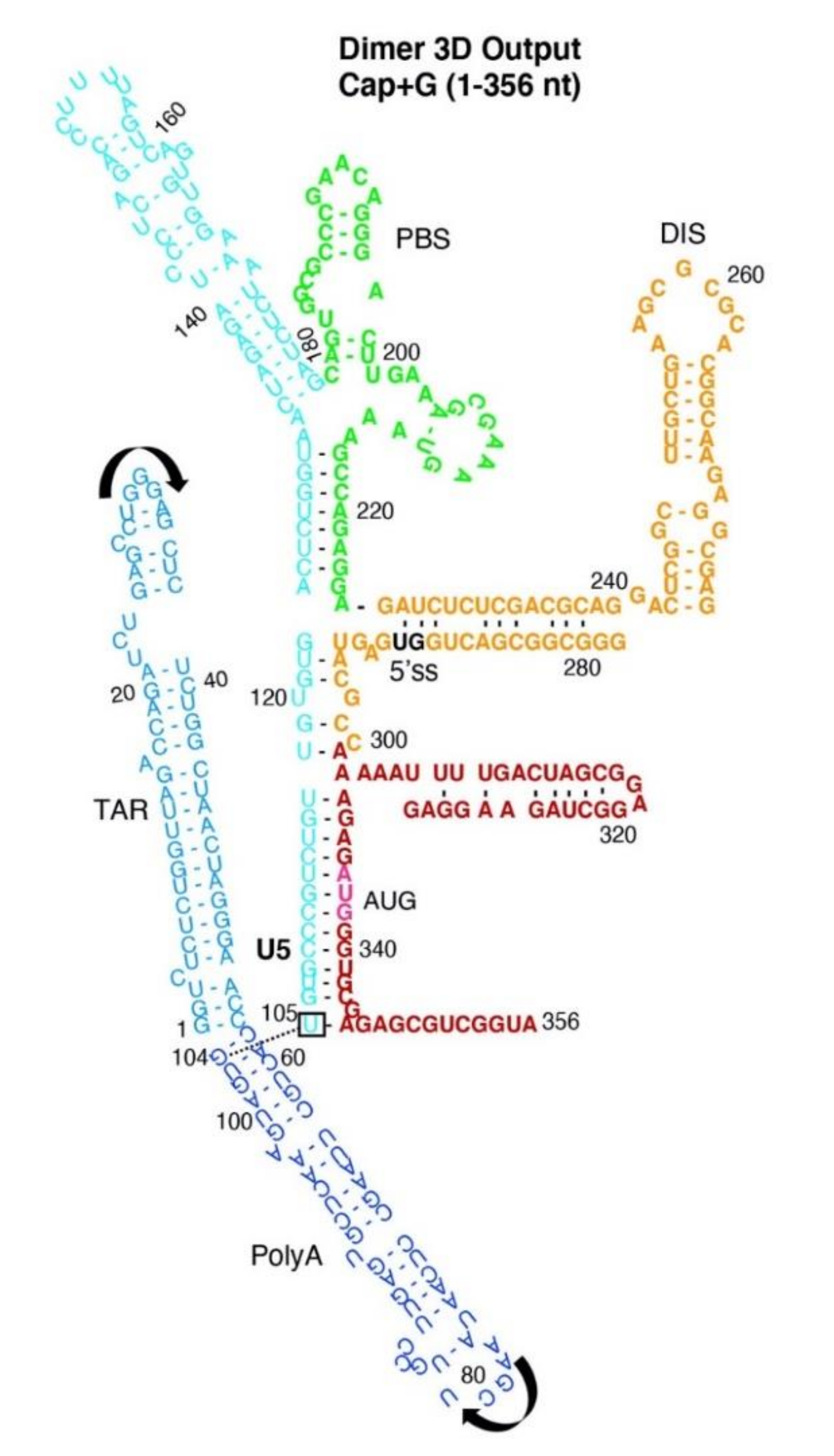 Viruses 12 01108 g003 Viruses 12 01108 g003
