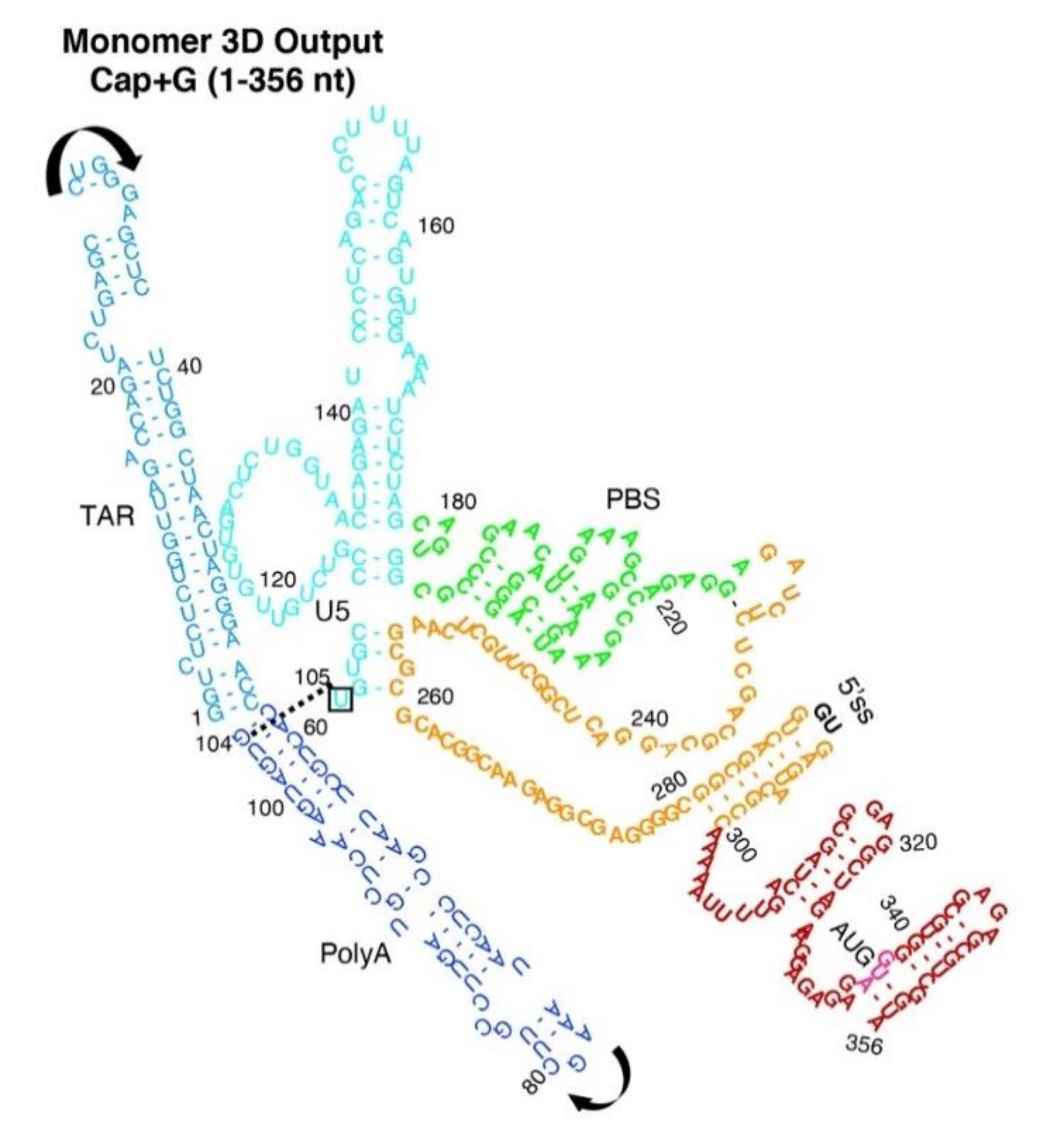 Viruses 12 01108 g005 Viruses 12 01108 g005