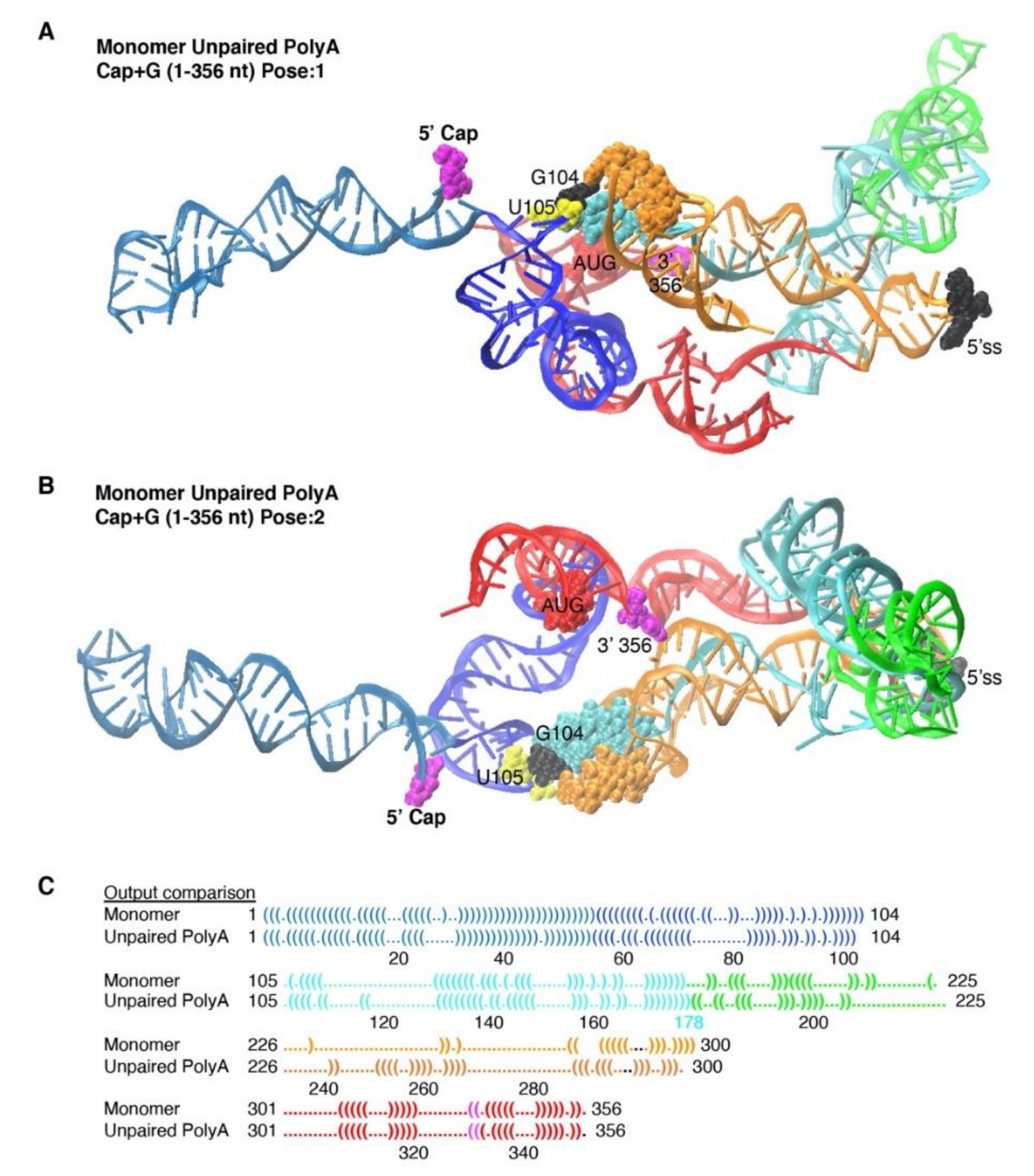 Viruses 12 01108 g006 Viruses 12 01108 g006