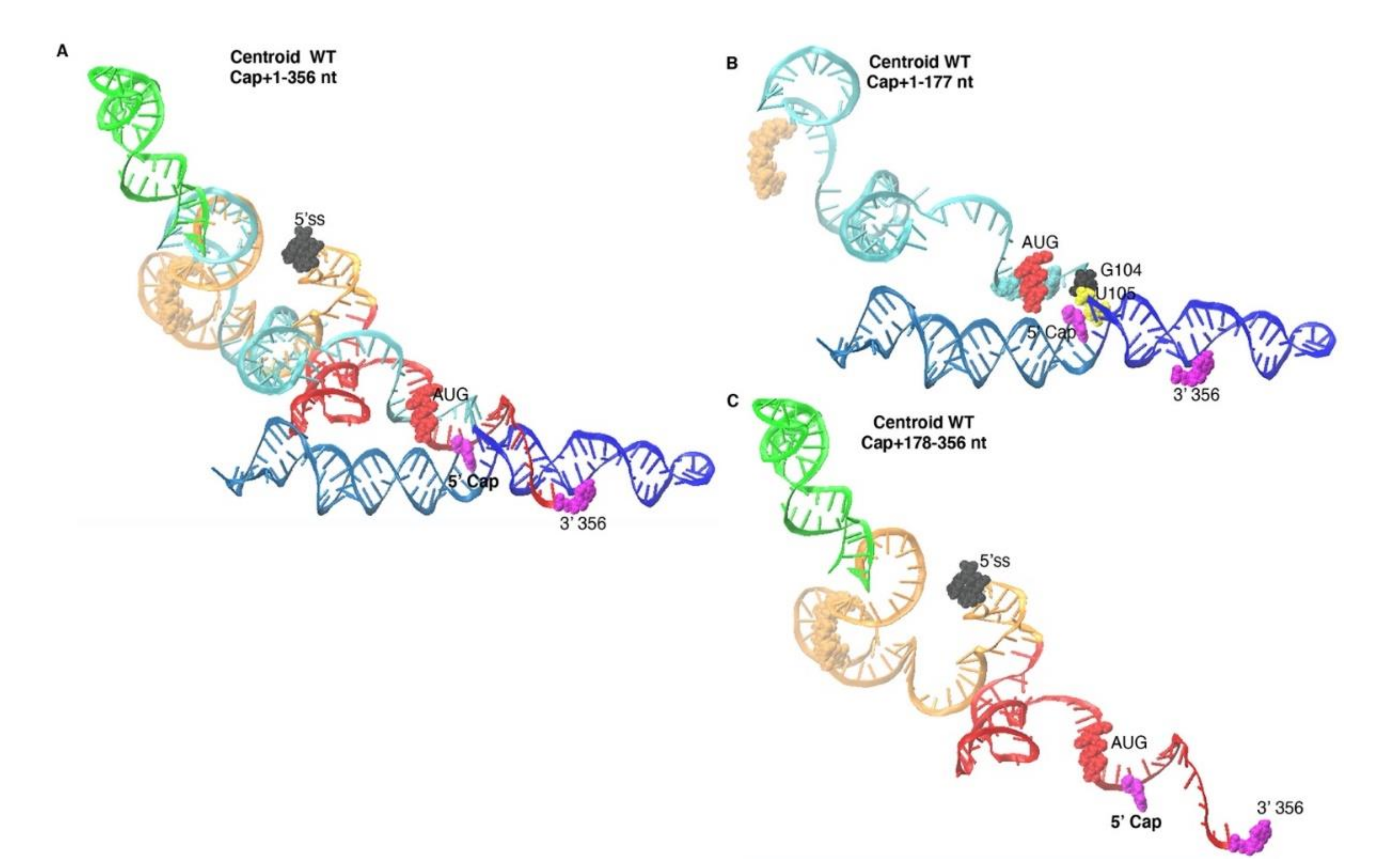 Viruses 12 01108 g008 Viruses 12 01108 g008