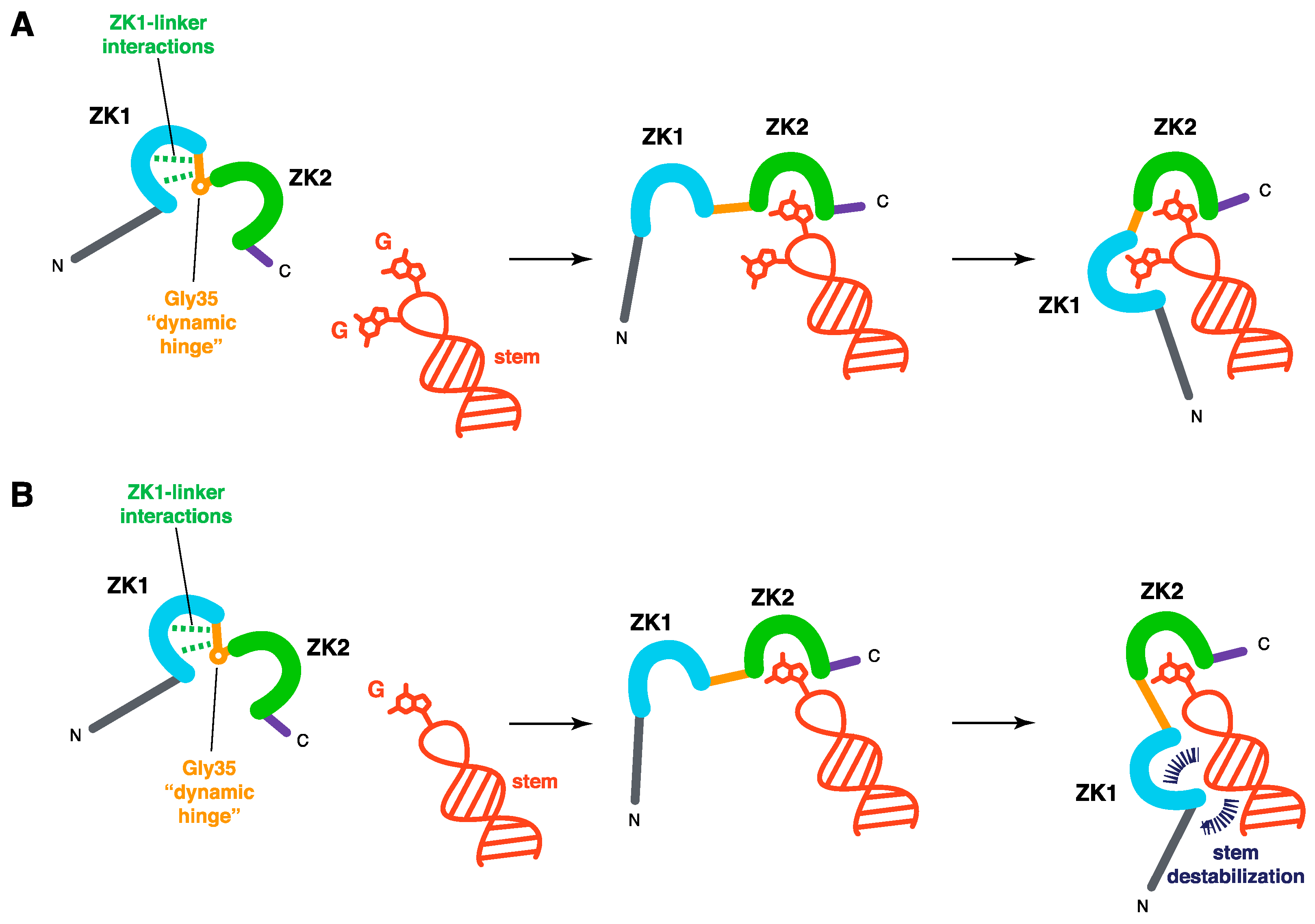 Viruses 12 01109 g004 Viruses 12 01109 g004
