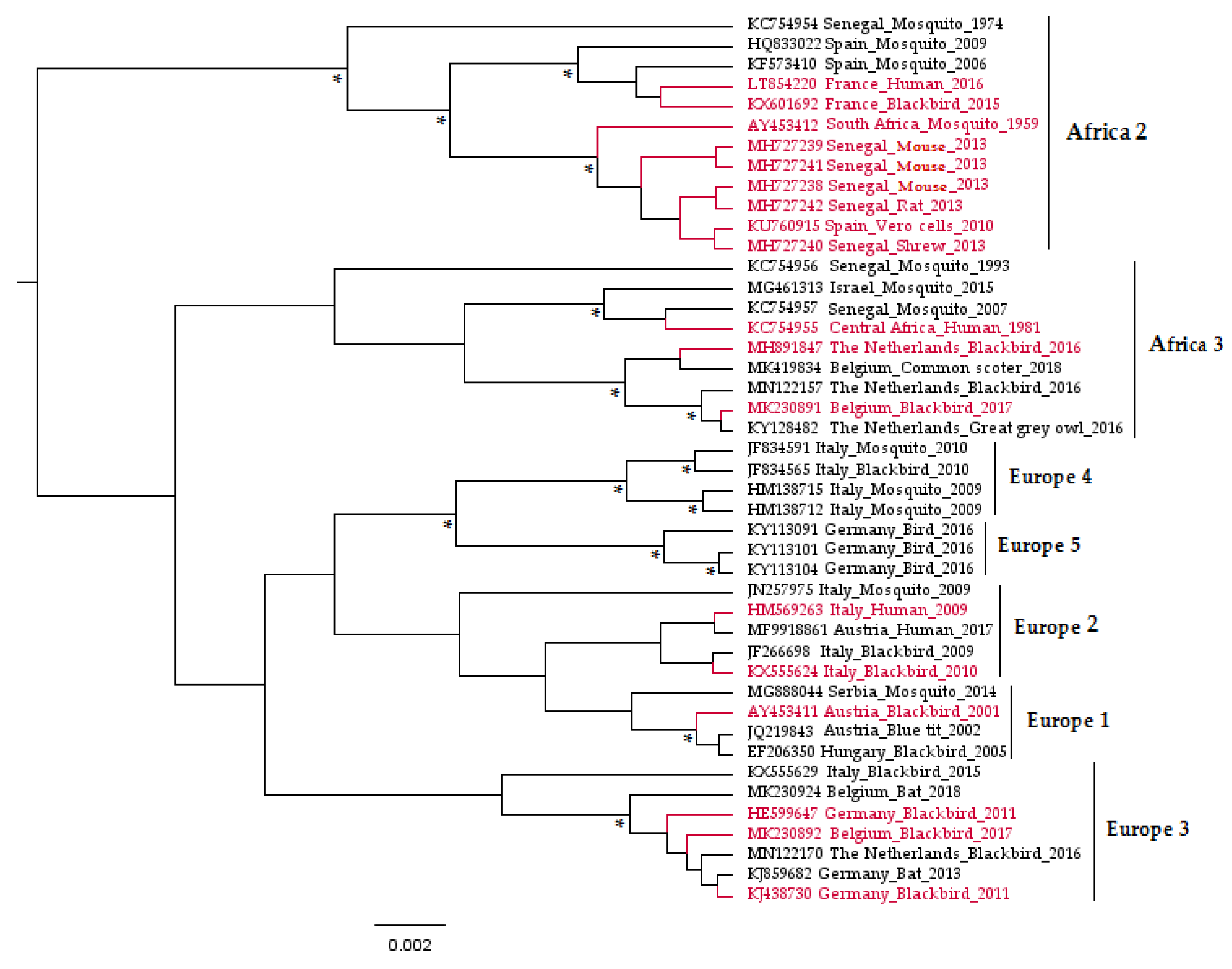 Viruses 12 01116 g001