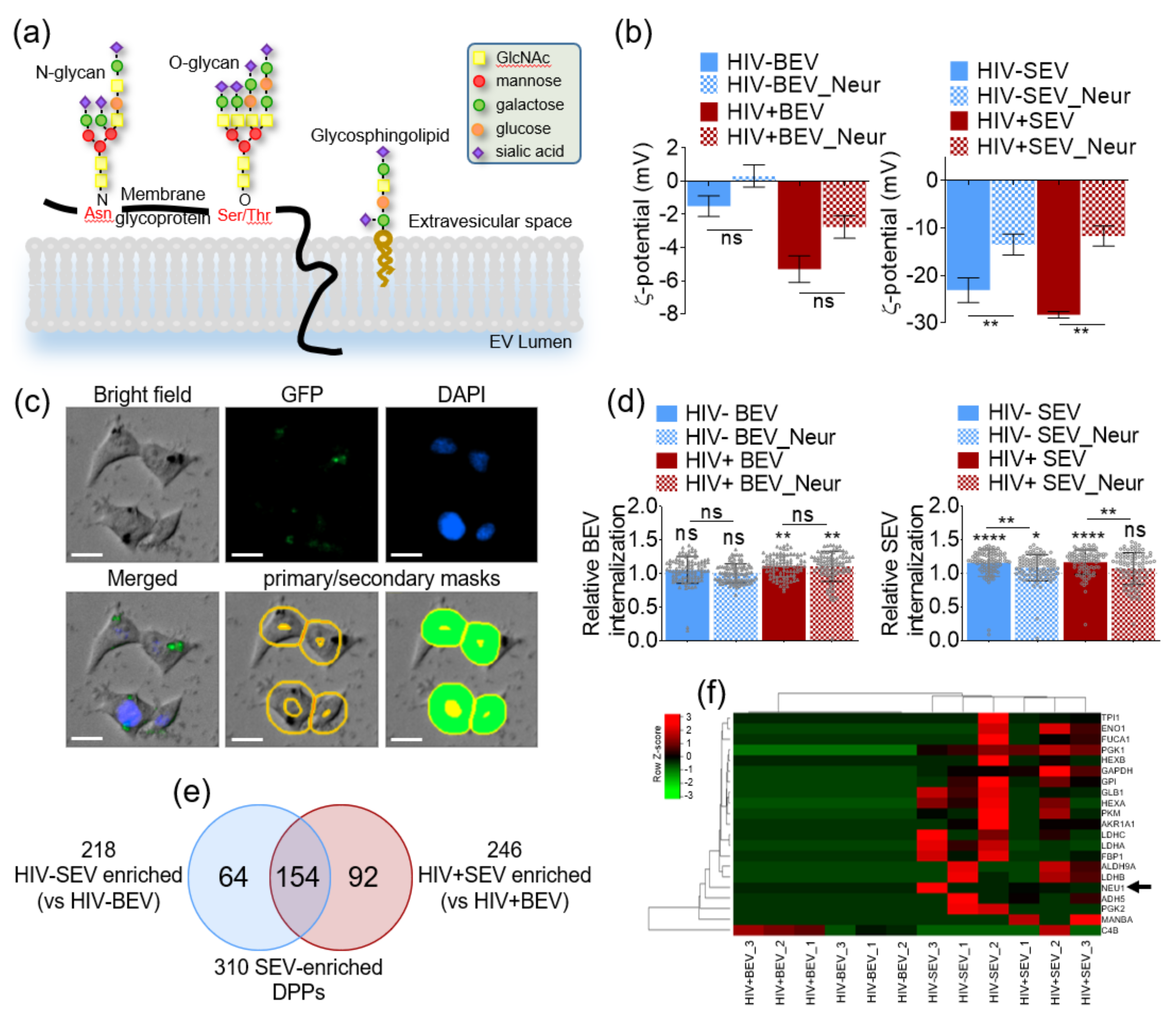 Viruses 12 01117 g005 Viruses 12 01117 g005