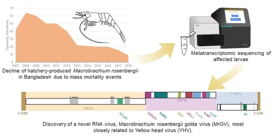 Viruses An Open Access Journal From Mdpi