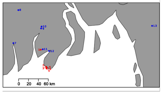 Viruses 12 01120 g001