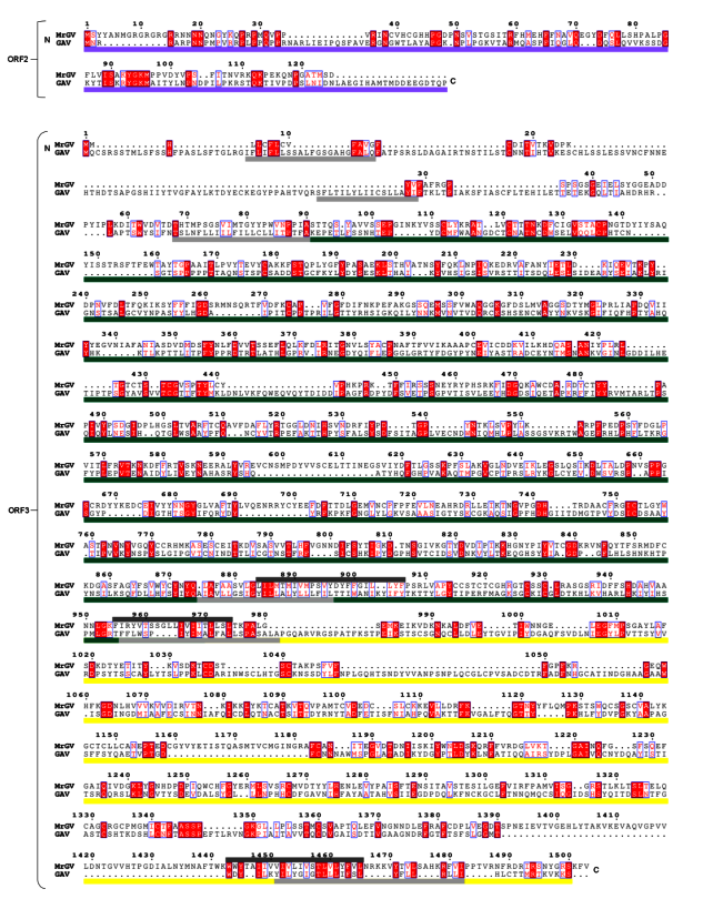 Viruses 12 01120 g006