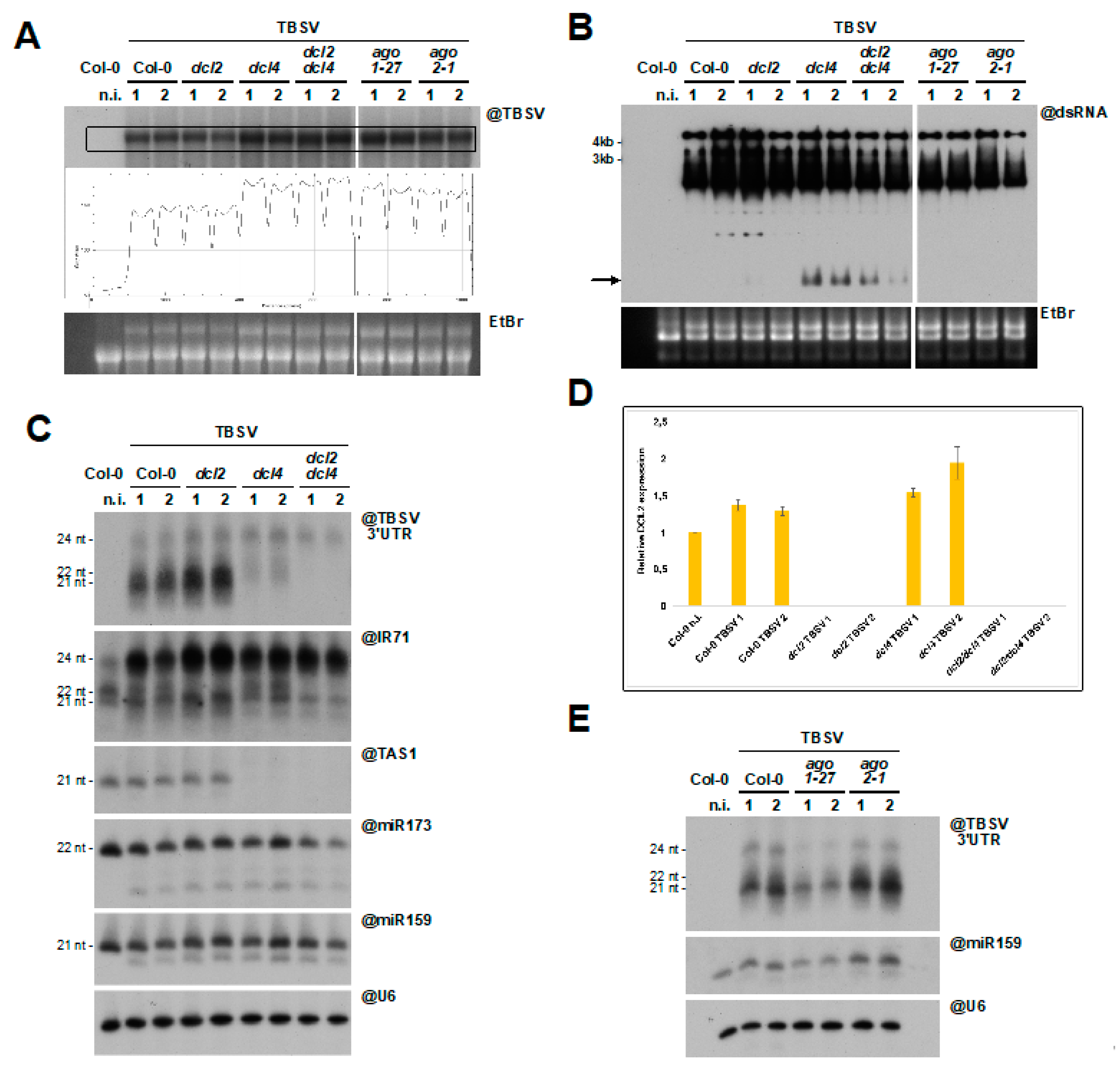 Viruses 12 01121 g007