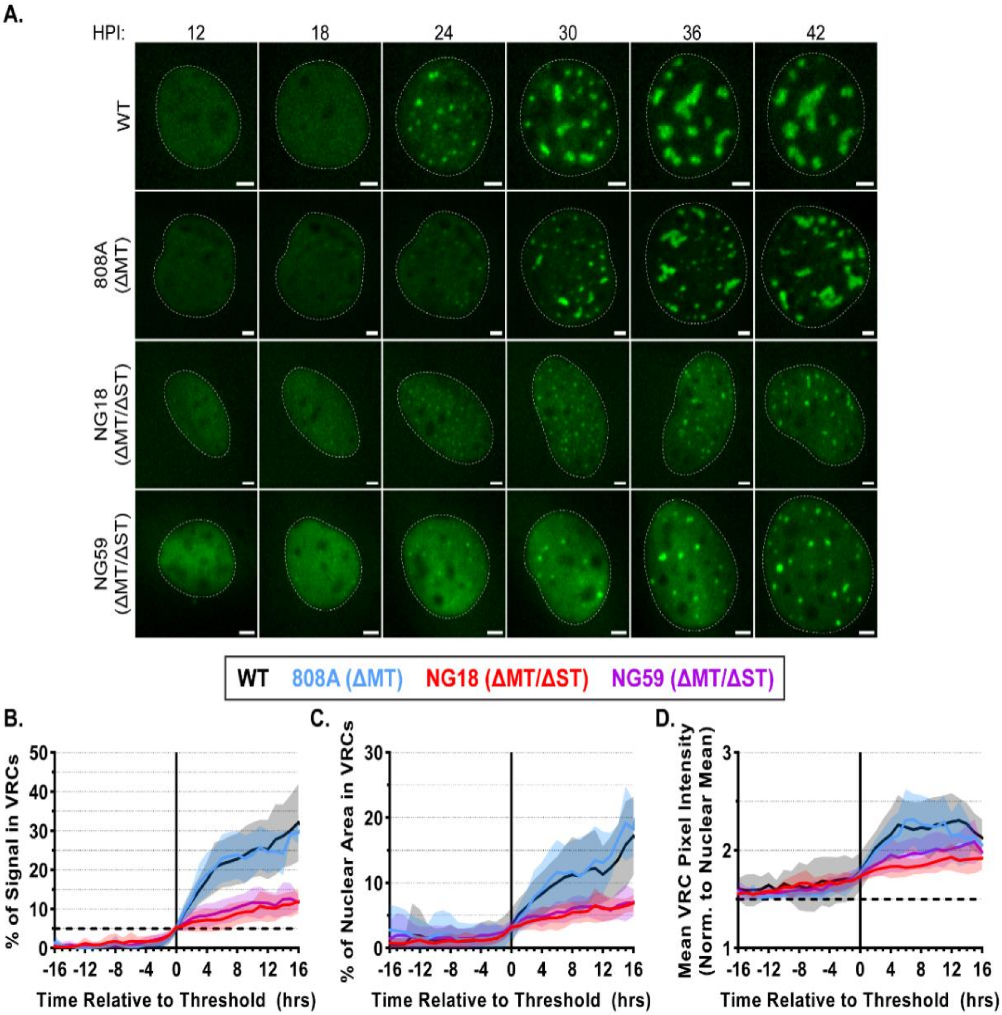 Viruses 12 01123 g005 Viruses 12 01123 g005
