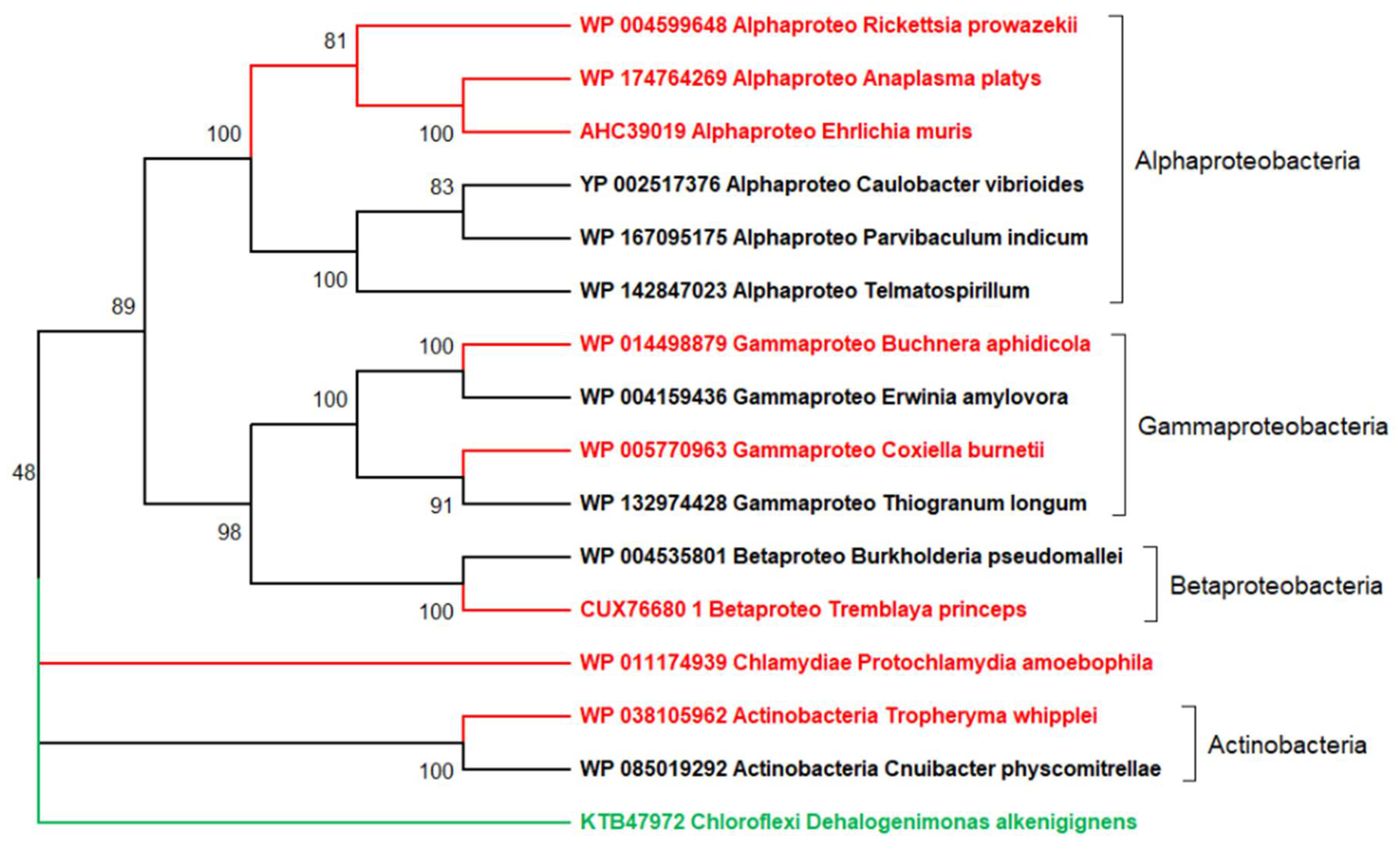 Viruses 12 01130 g002 Viruses 12 01130 g002