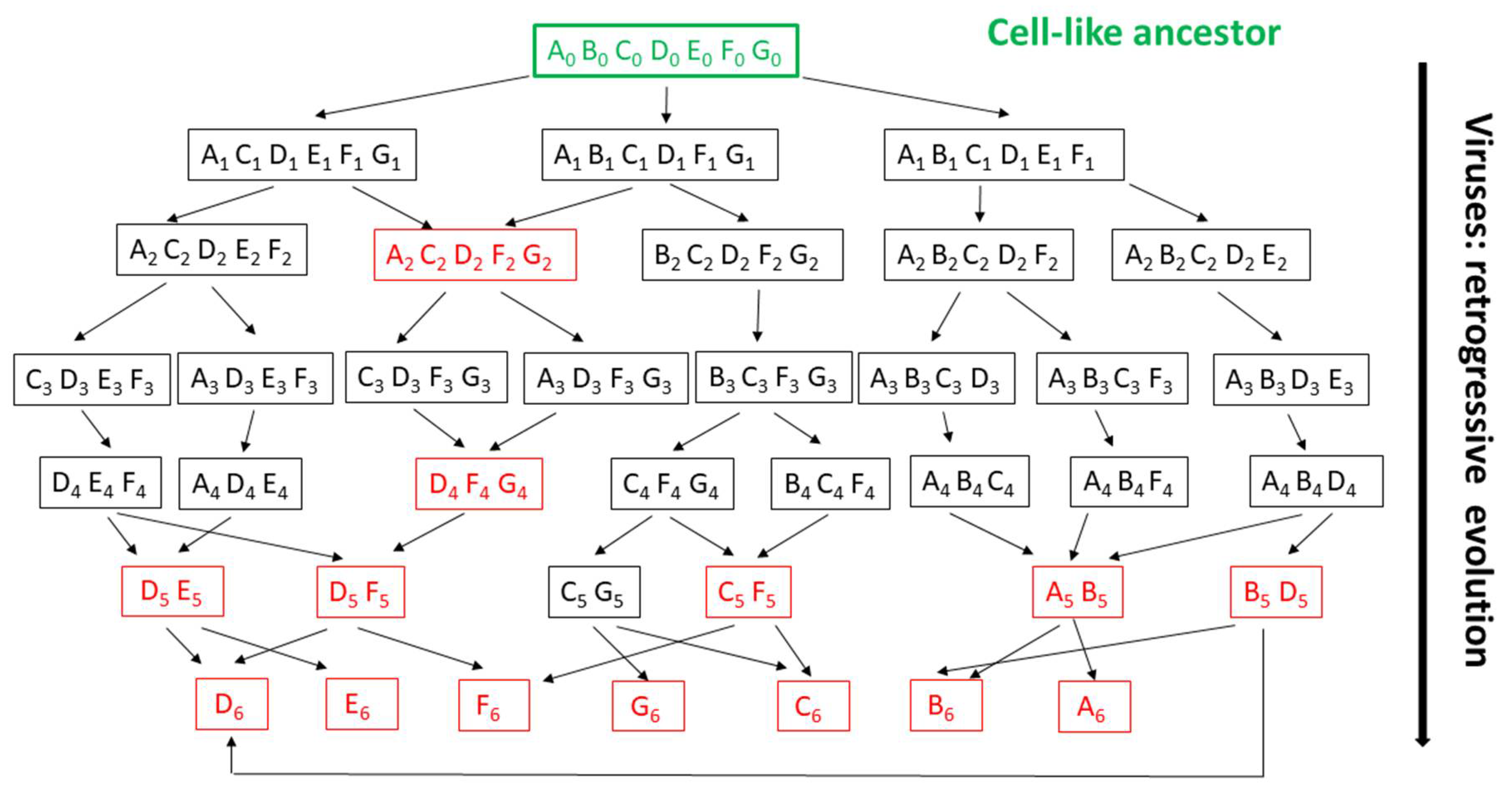 Viruses 12 01130 g003 Viruses 12 01130 g003