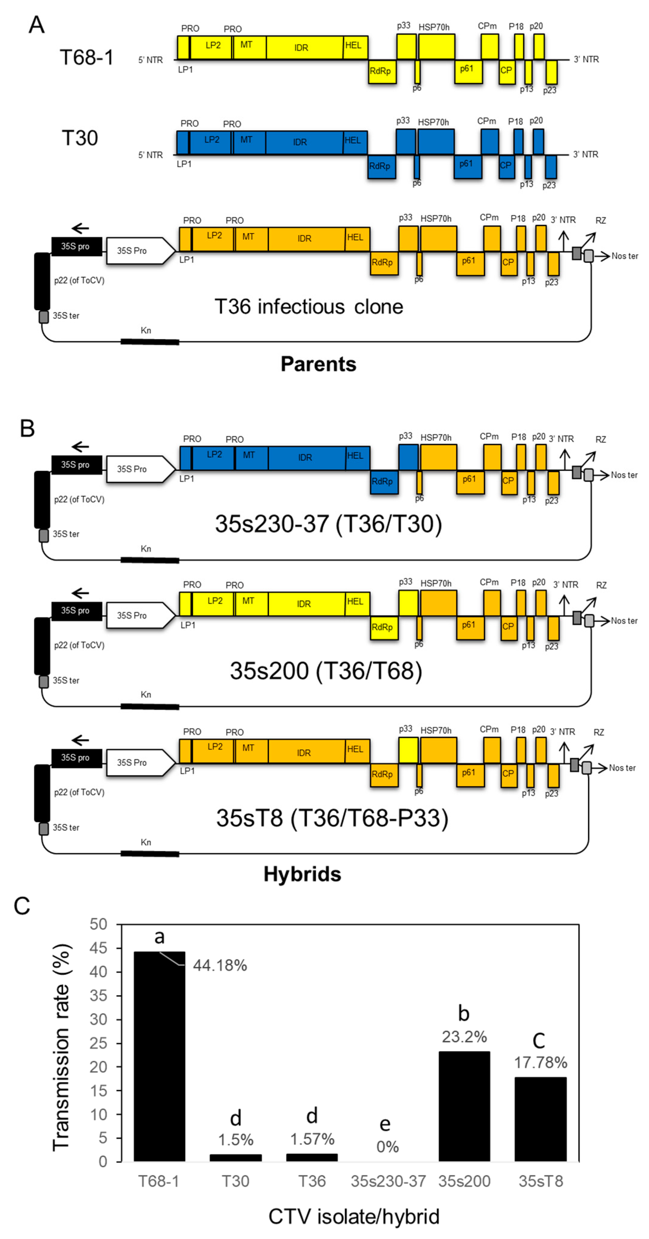 Viruses 12 01131 g004 Viruses 12 01131 g004