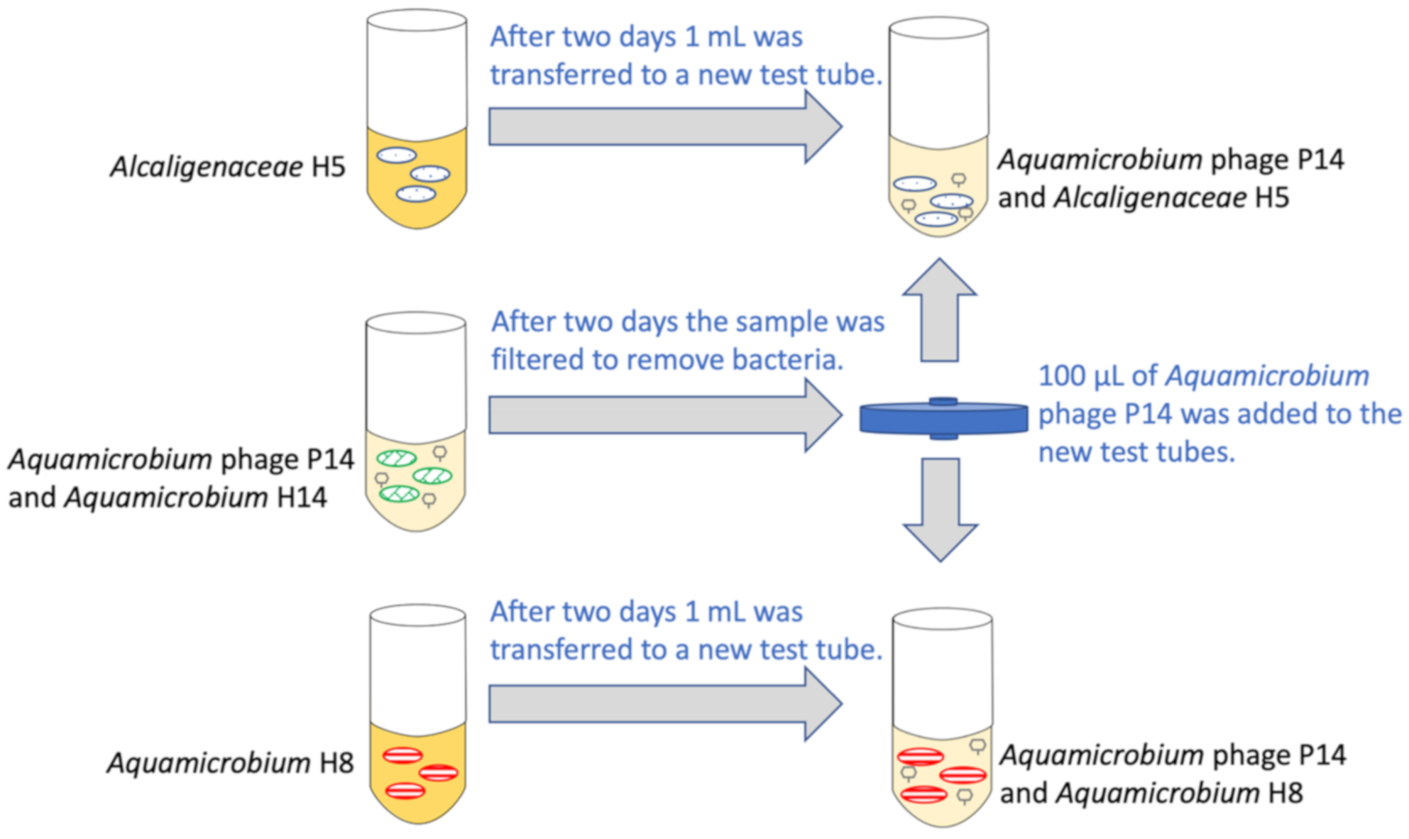 Viruses 12 01132 g001 Viruses 12 01132 g001