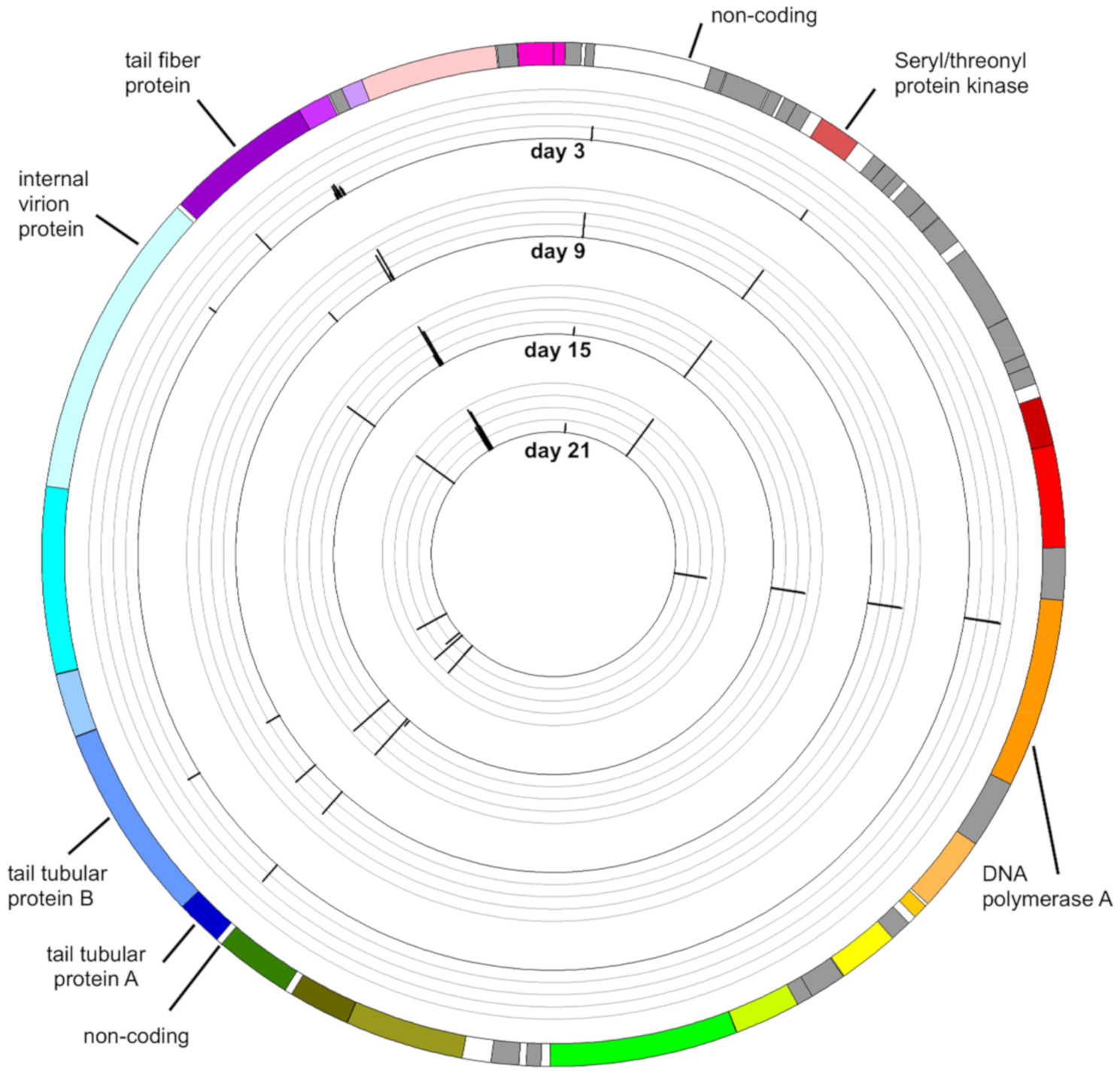 Viruses 12 01132 g003 Viruses 12 01132 g003