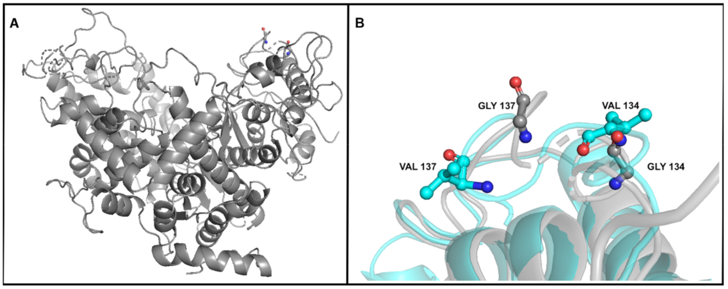 Viruses 12 01132 g004 Viruses 12 01132 g004