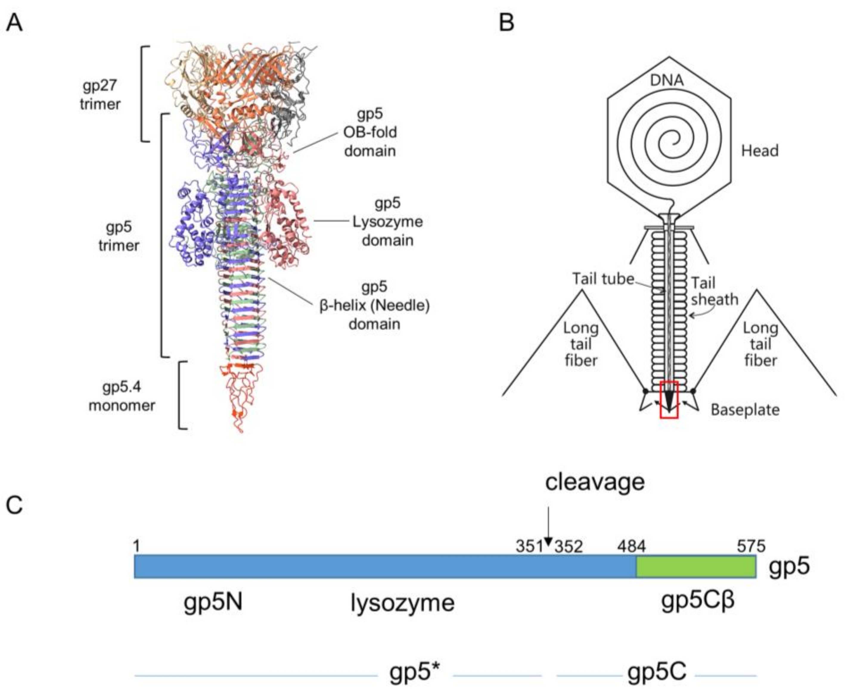 Viruses 12 01135 g001