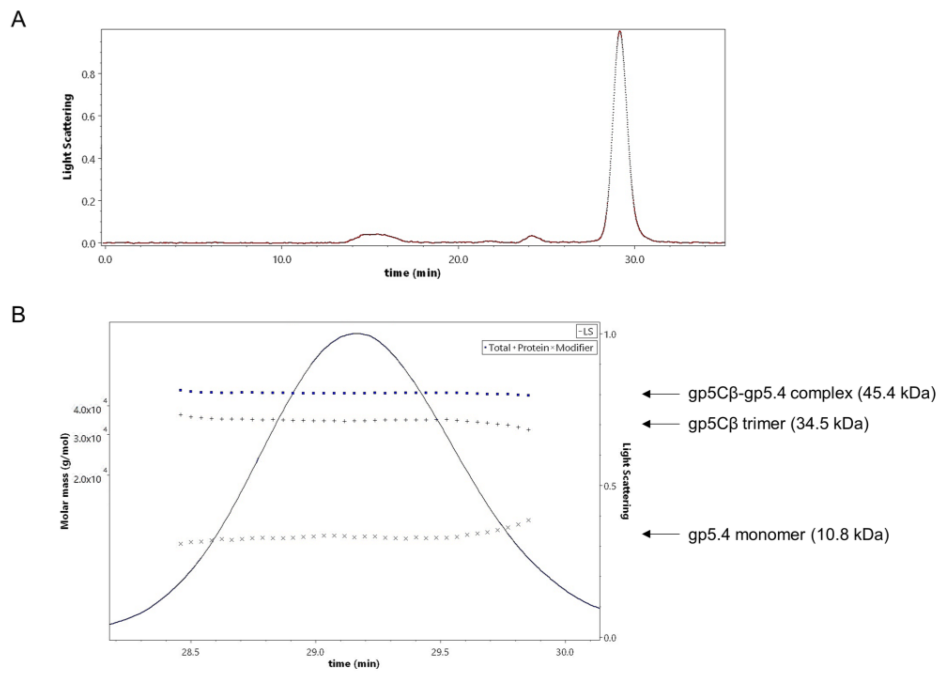 Viruses 12 01135 g003