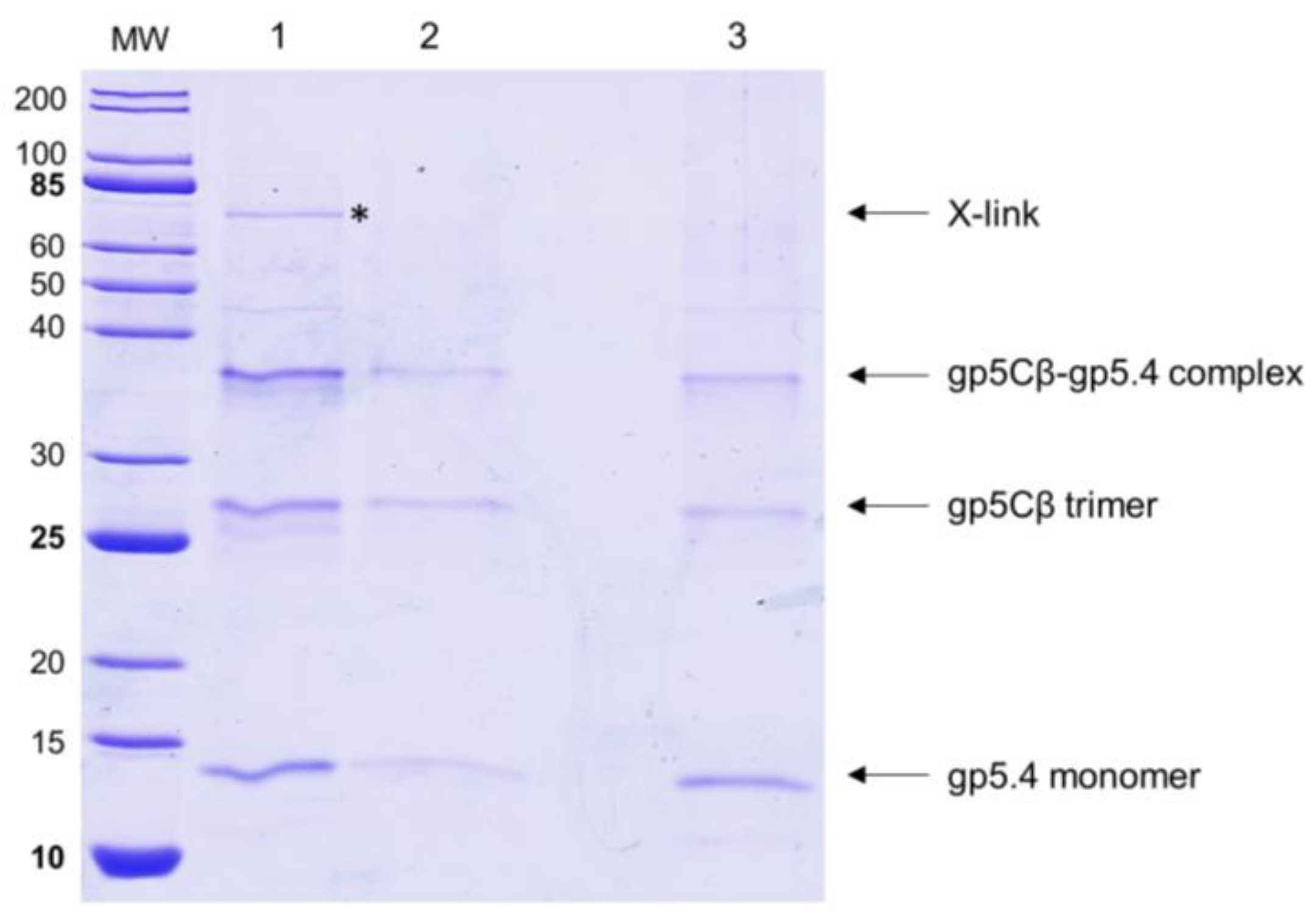 Viruses 12 01135 g005