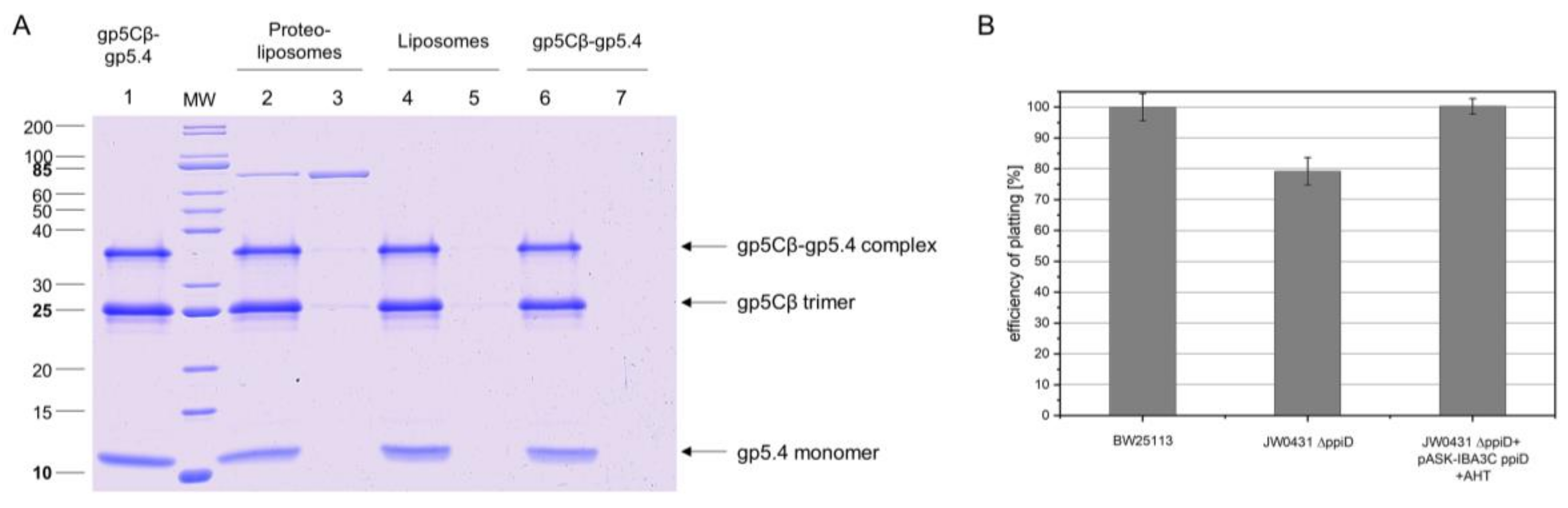 Viruses 12 01135 g006